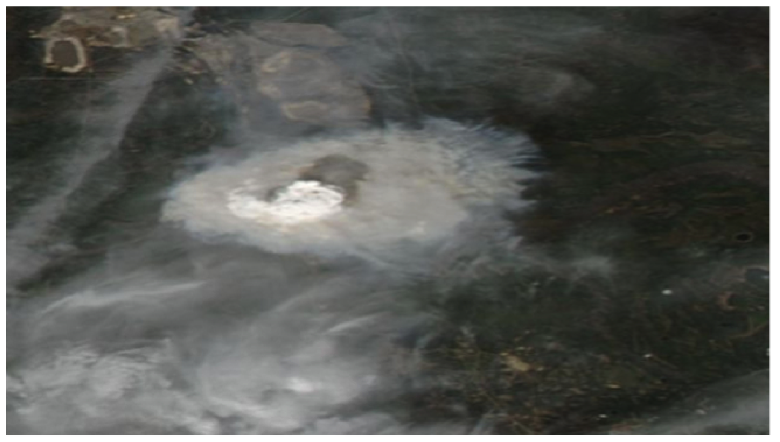 Atmosphere 11 00763 g011