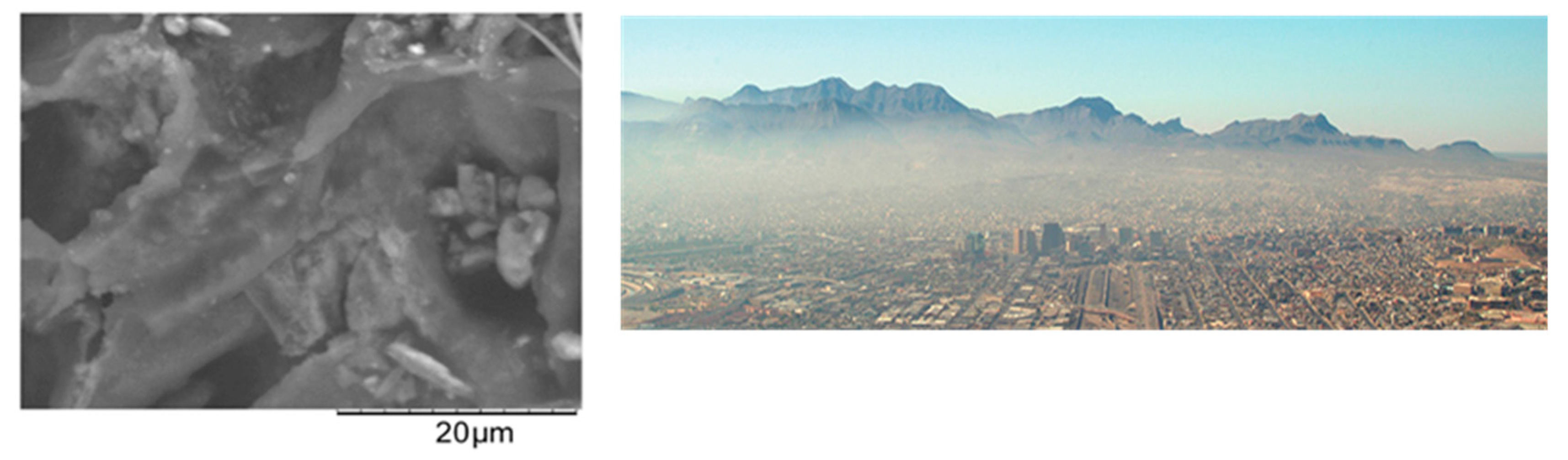 Atmosphere Free Full Text An Improved Method For Optical Characterization Of Mineral Dust And Soot Particles In The El Paso Juarez Airshed Html