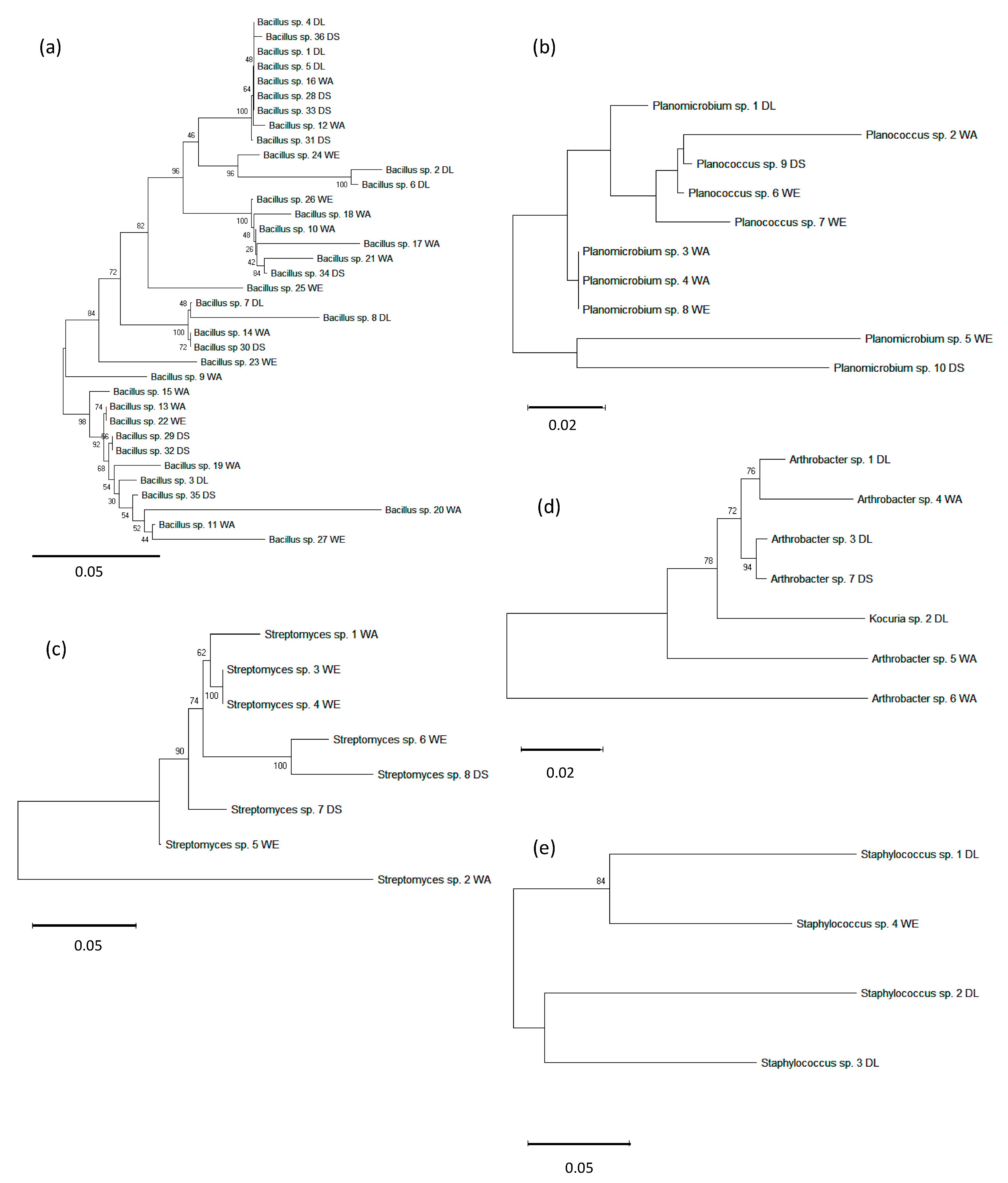 Atmosphere 11 00893 g004 Atmosphere 11 00893 g004
