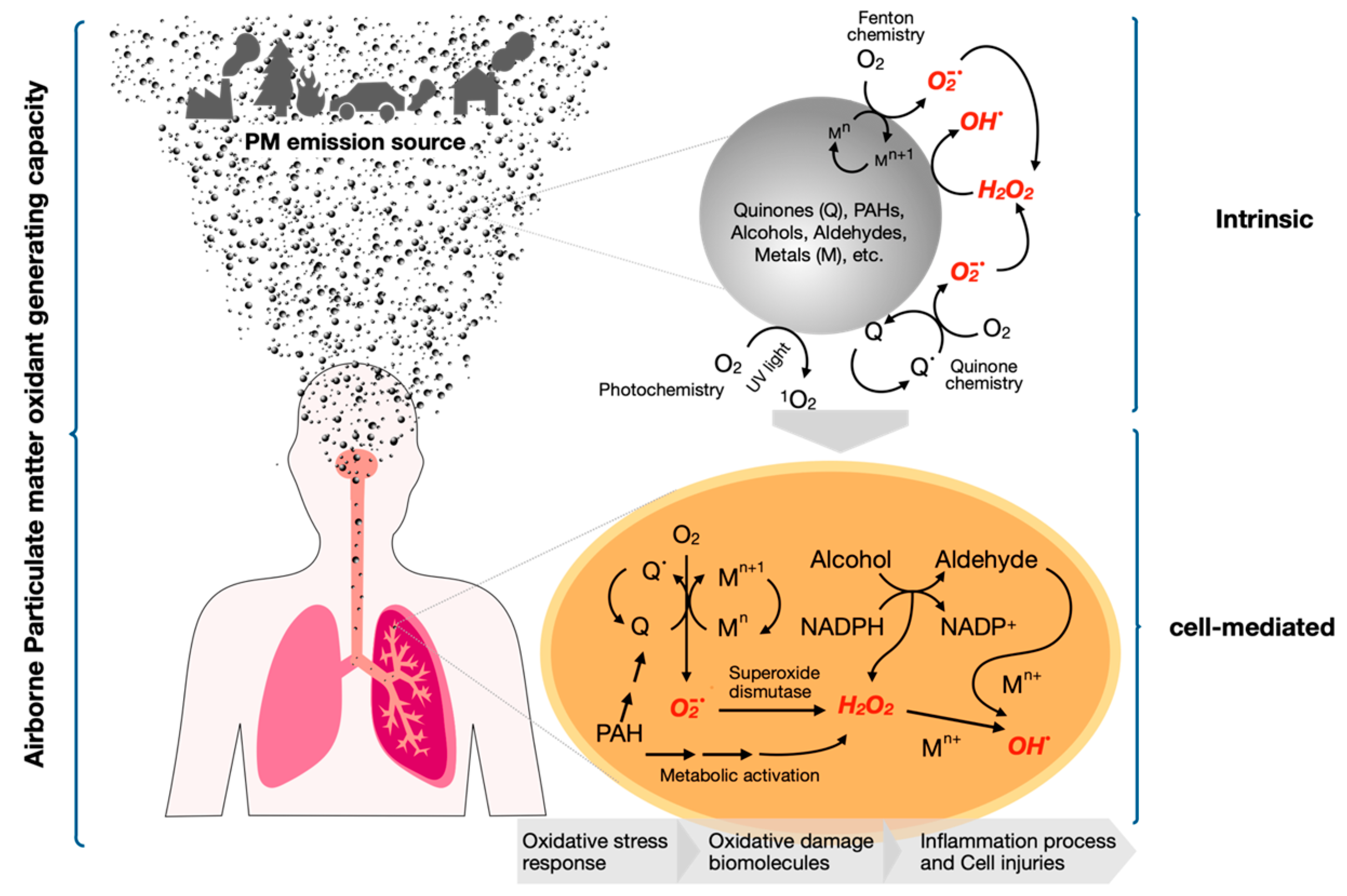 Atmosphere 11 00917 g001