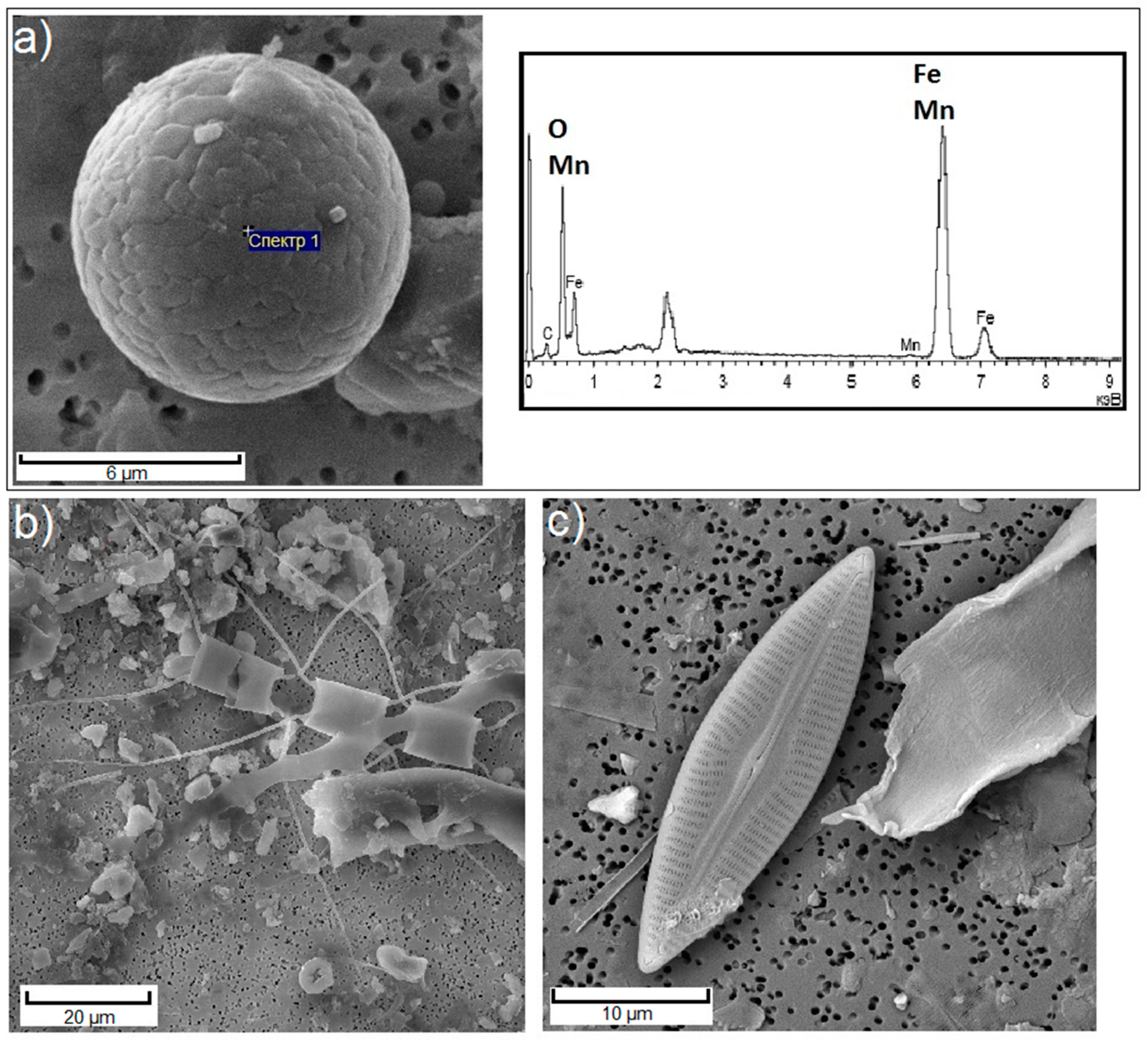 Atmosphere 11 00928 g004