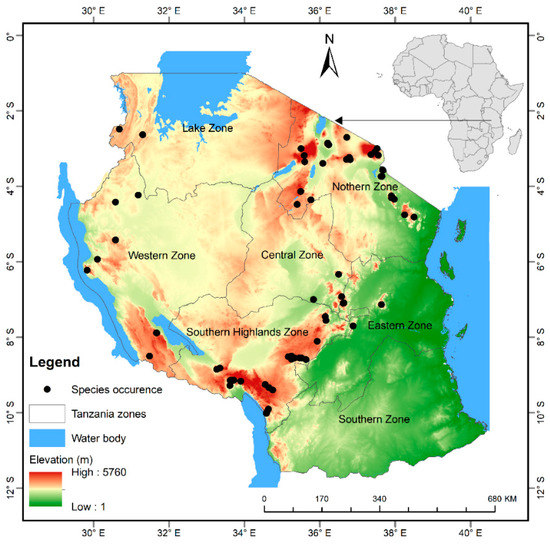 Predicting Suitable Habitats of the African Cherry (Prunus