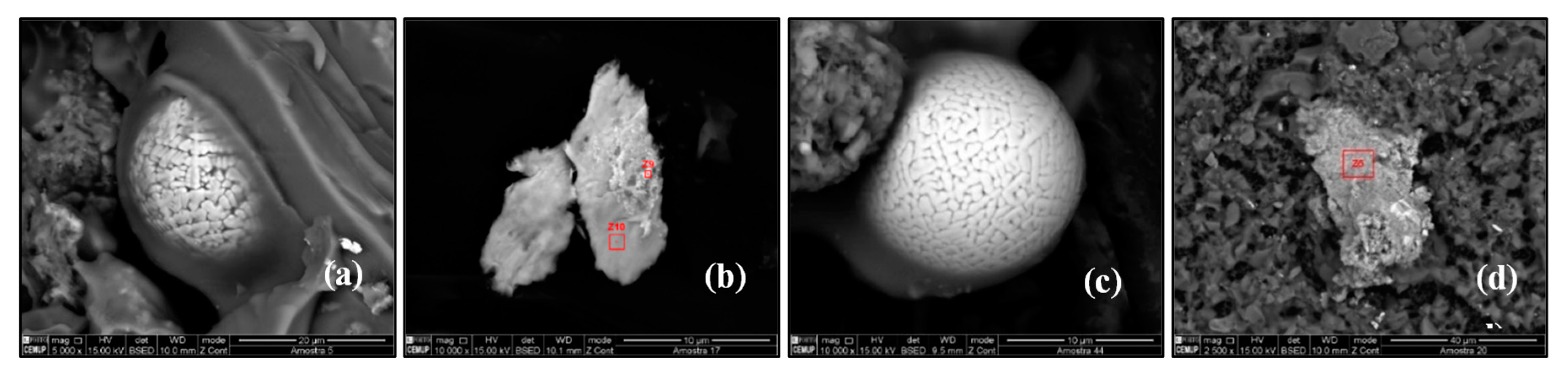 Atmosphere 11 01069 g011