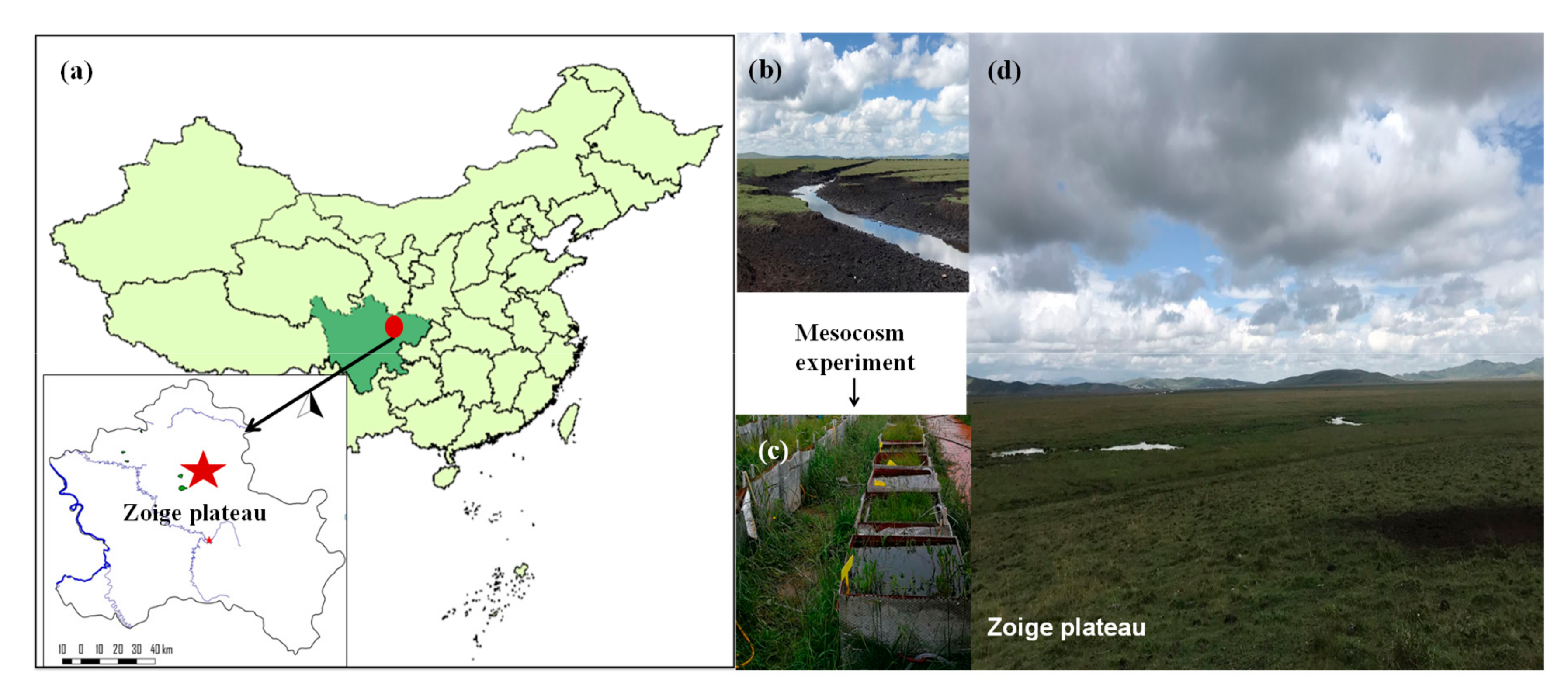 Atmosphere 11 01165 g001 Atmosphere 11 01165 g001