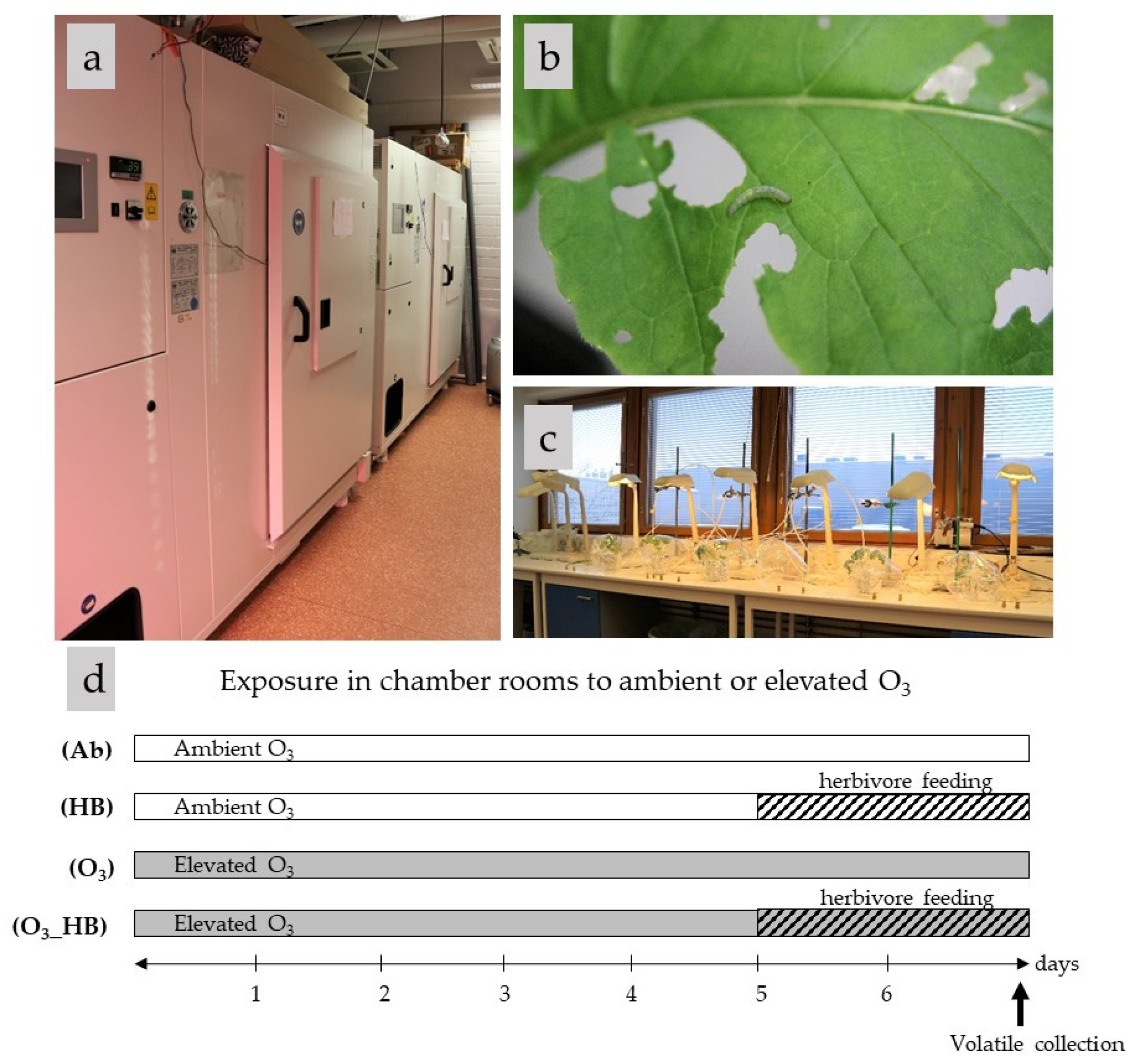 Atmosphere 11 01213 g001