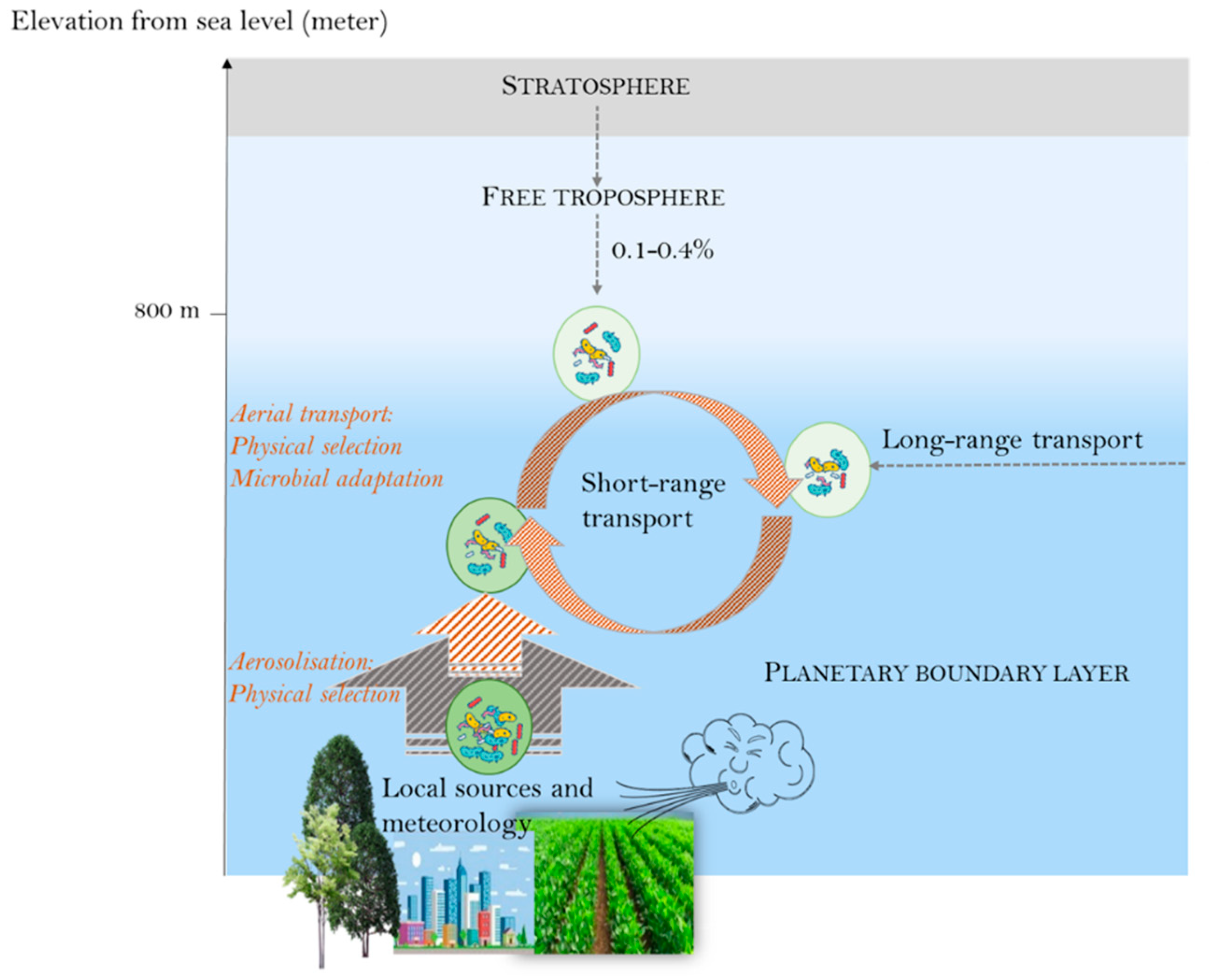 Atmosphere 11 01296 g003