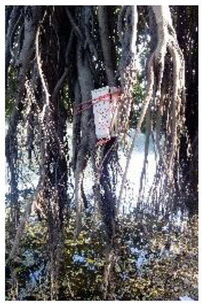 Atmosphere 11 01348 i002 Atmosphere 11 01348 i002