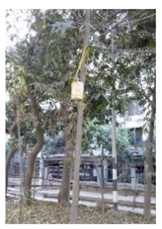 Atmosphere 11 01348 i004 Atmosphere 11 01348 i004