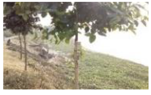 Atmosphere 11 01348 i010 Atmosphere 11 01348 i010