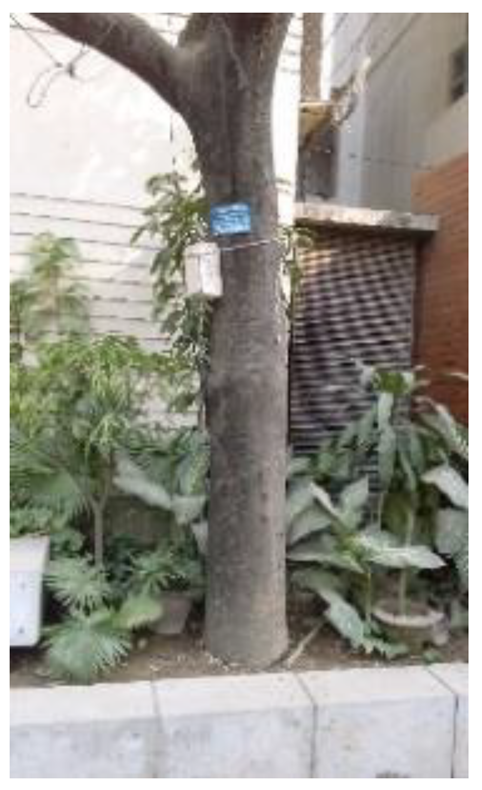 Atmosphere 11 01348 i014 Atmosphere 11 01348 i014