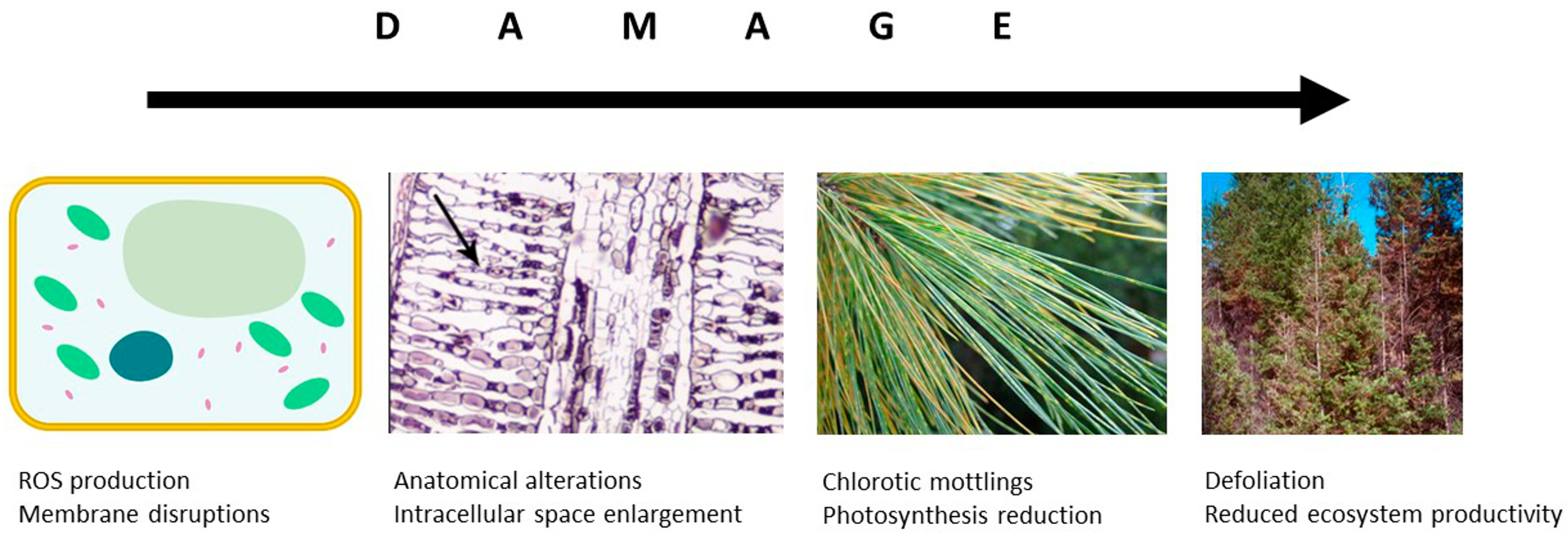 Atmosphere 12 00082 g003 Atmosphere 12 00082 g003