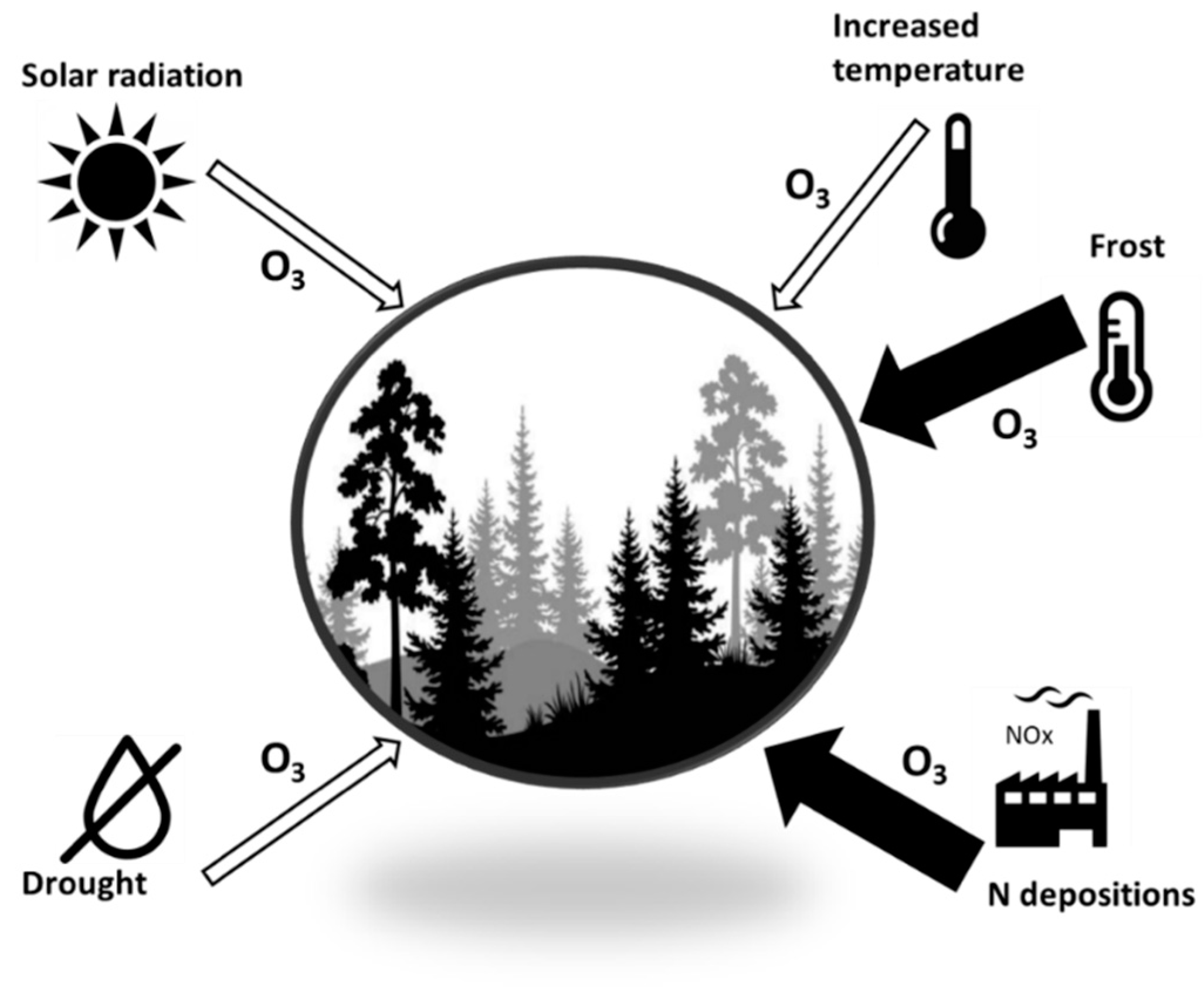 Atmosphere 12 00082 g004 Atmosphere 12 00082 g004