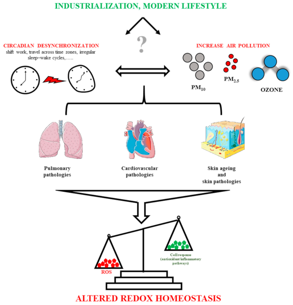 Atmosphere 12 00116 g001 Atmosphere 12 00116 g001