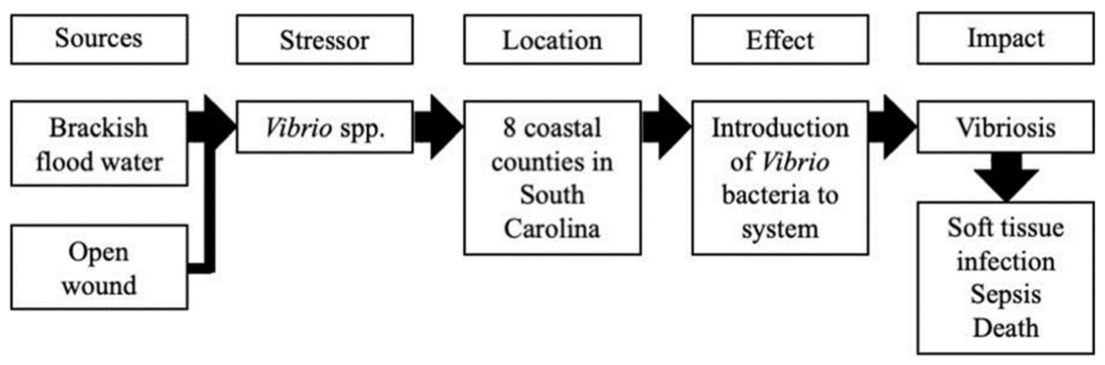 Atmosphere 12 00269 g002 Atmosphere 12 00269 g002