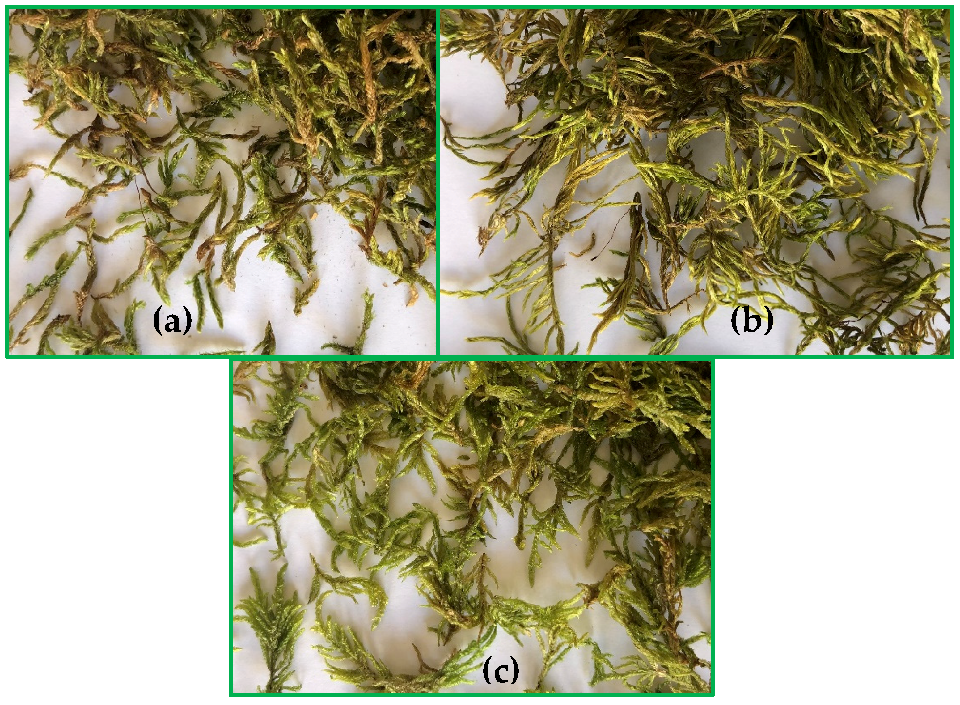 Atmosphere 12 00415 g003