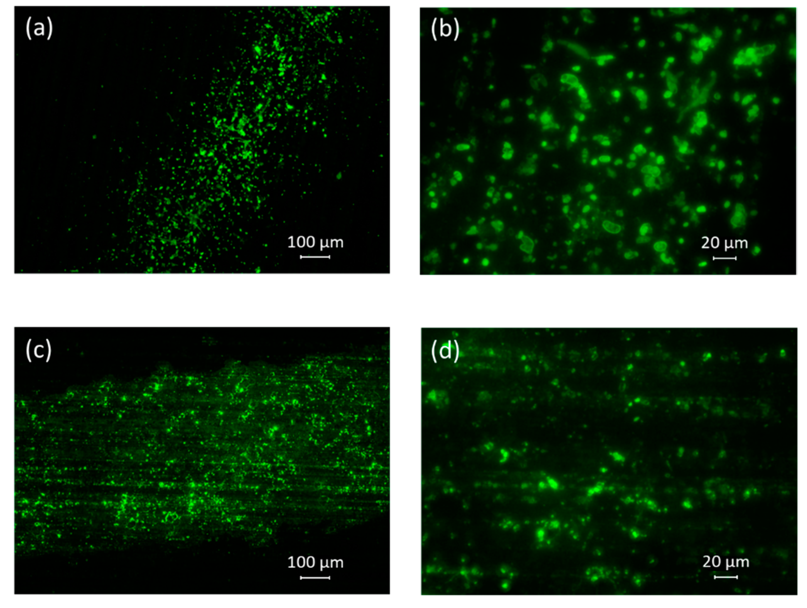 Atmosphere 12 00779 g005