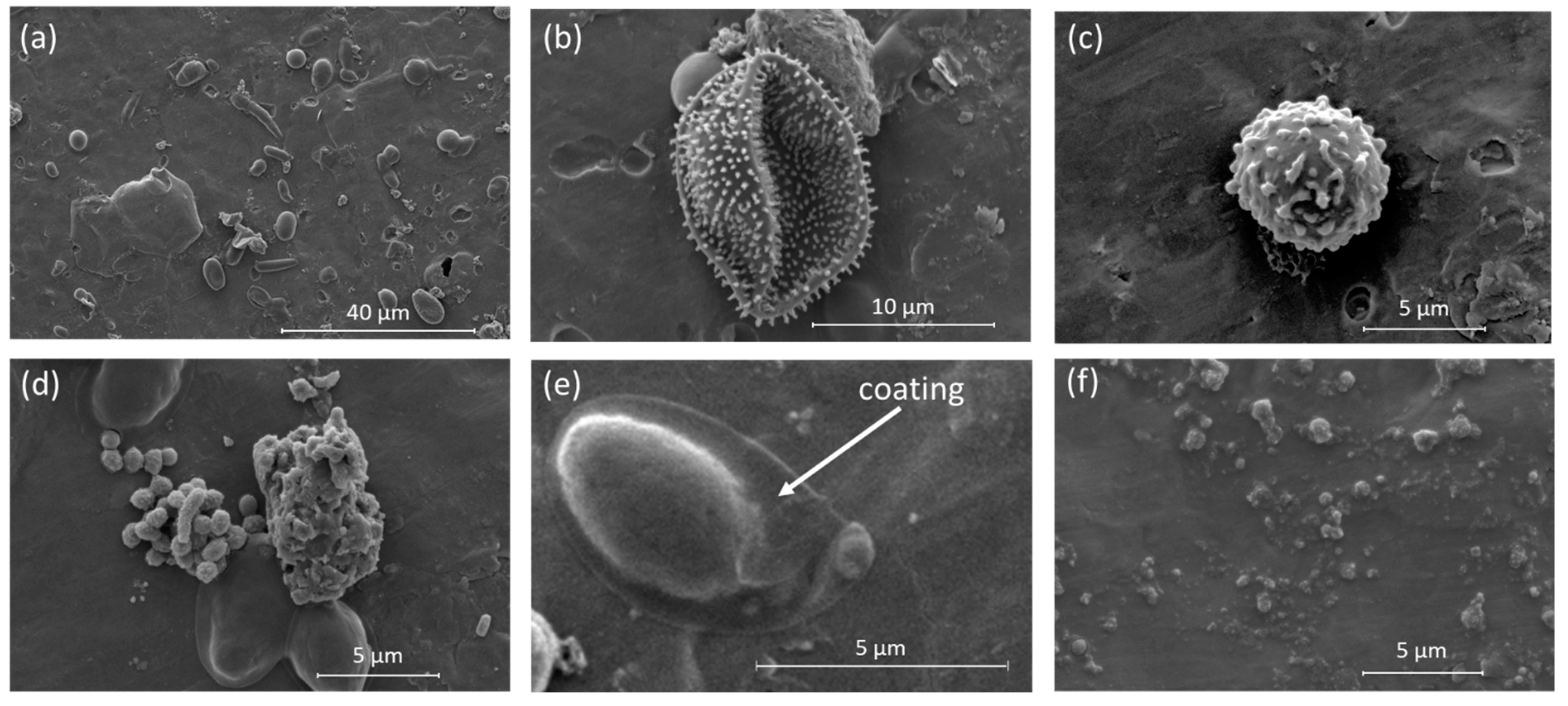 Atmosphere 12 00779 g006