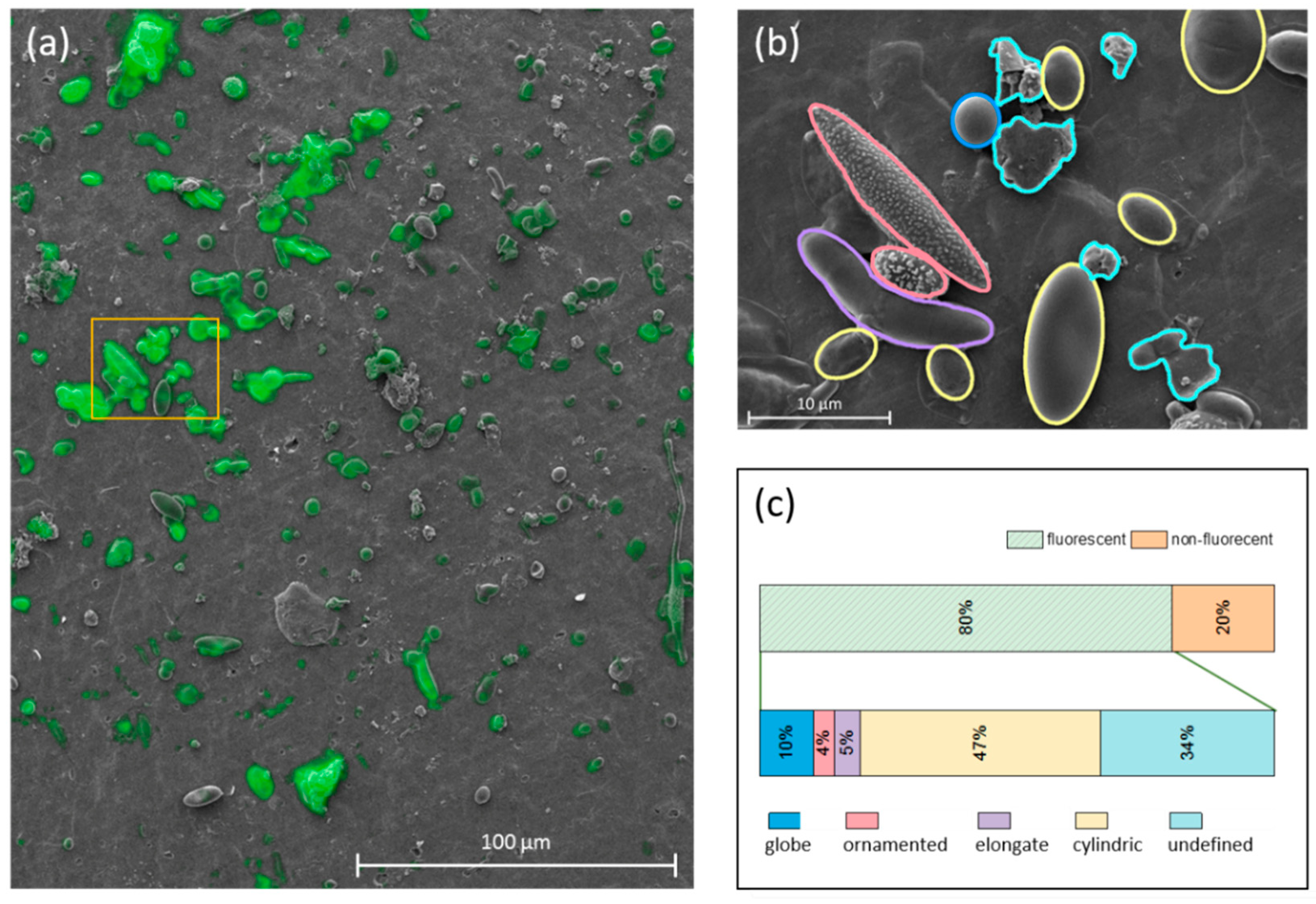 Atmosphere 12 00779 g008