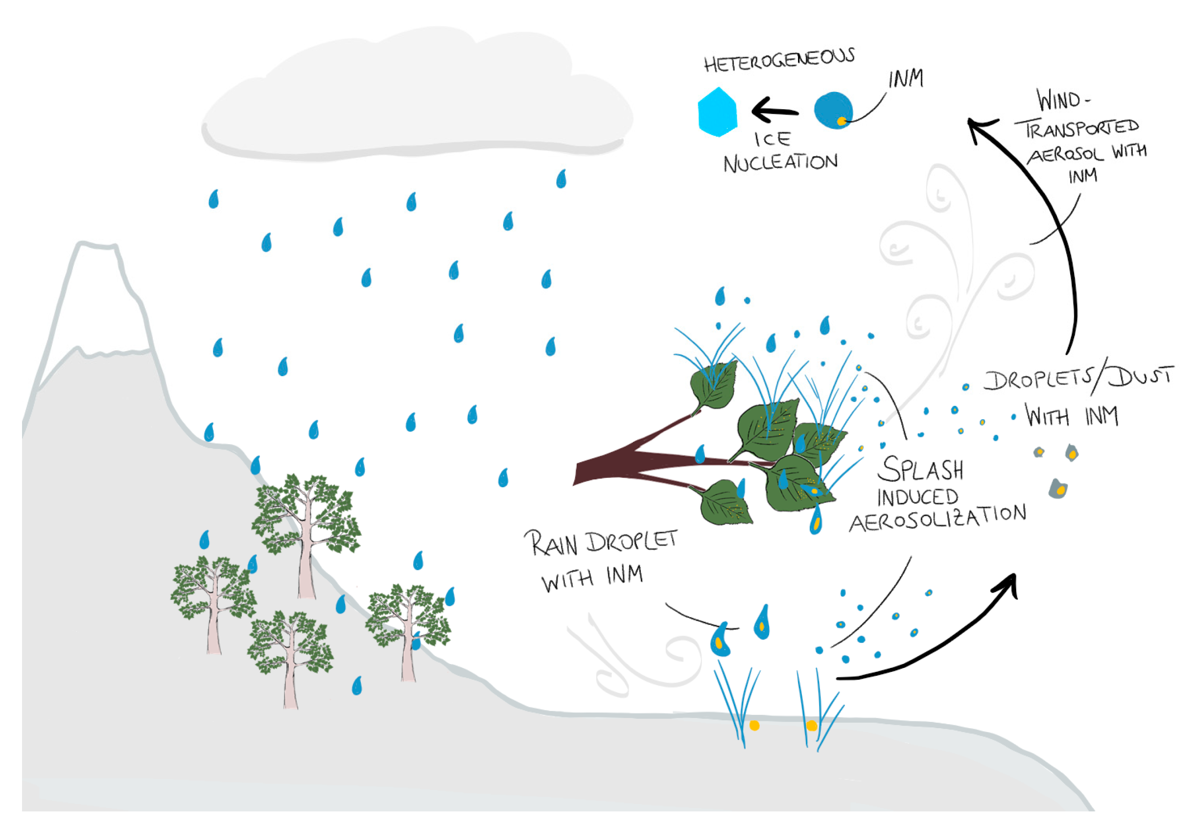 Atmosphere 12 00779 g009