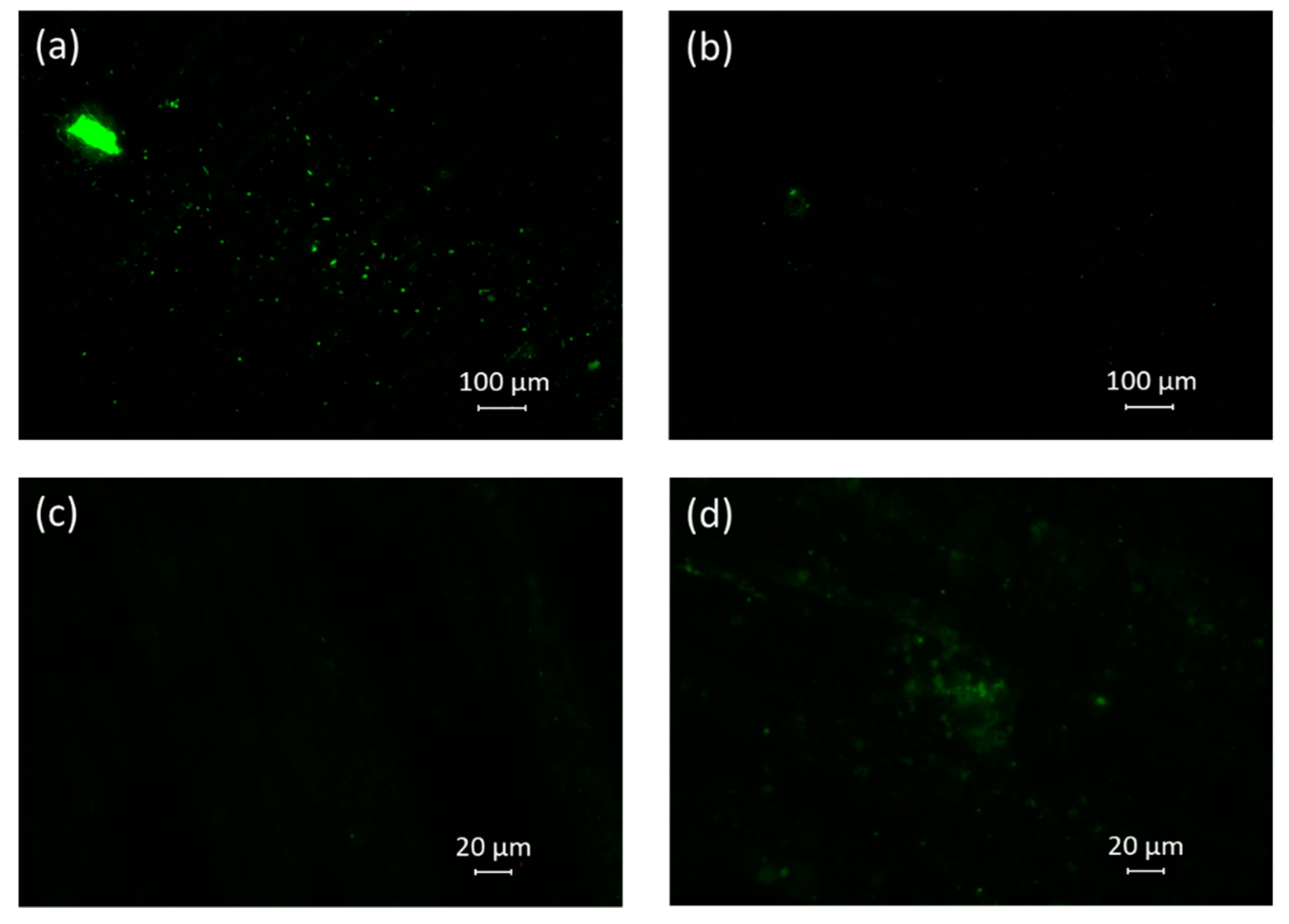 Atmosphere 12 00779 g0a2