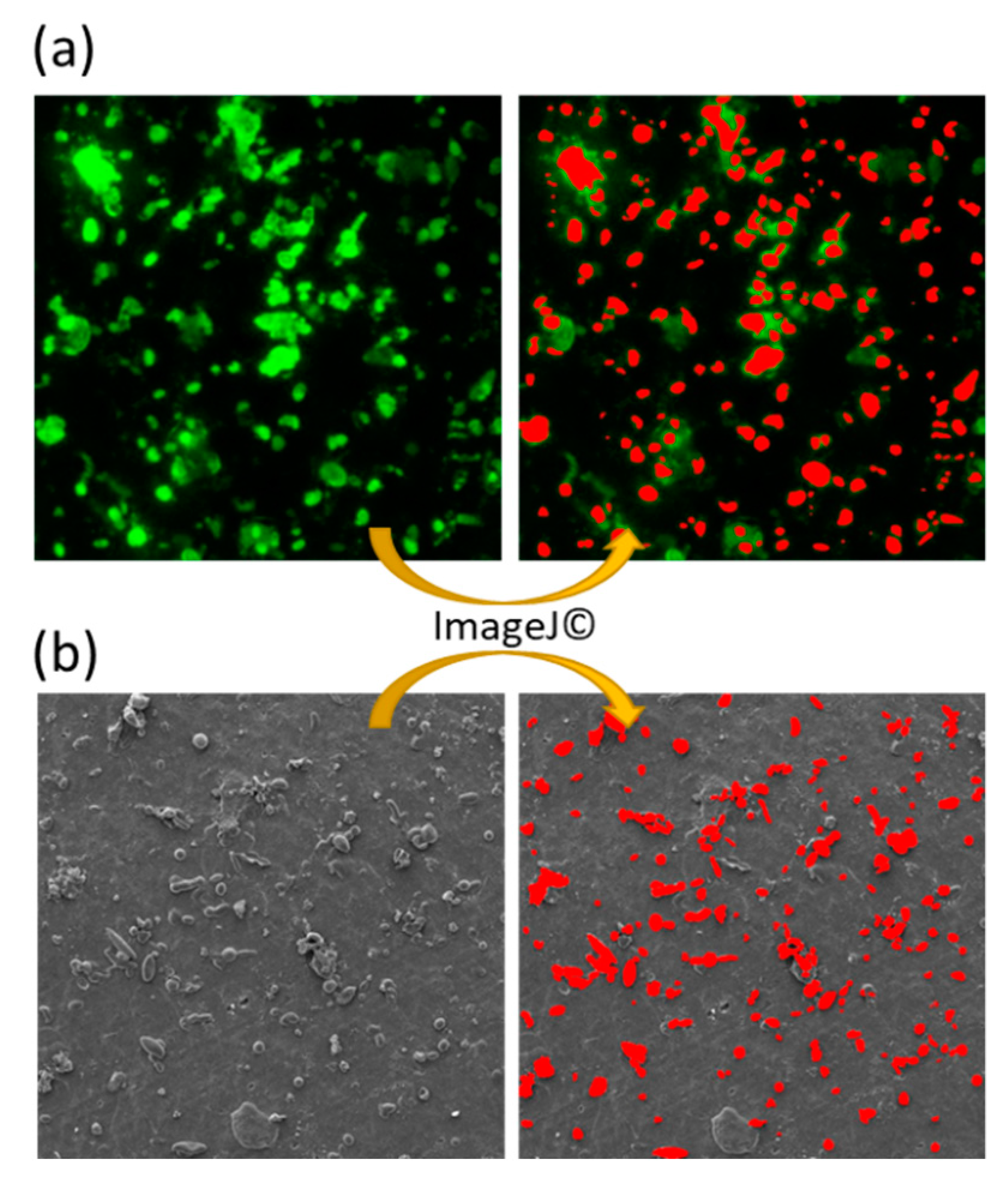 Atmosphere 12 00779 g0a5