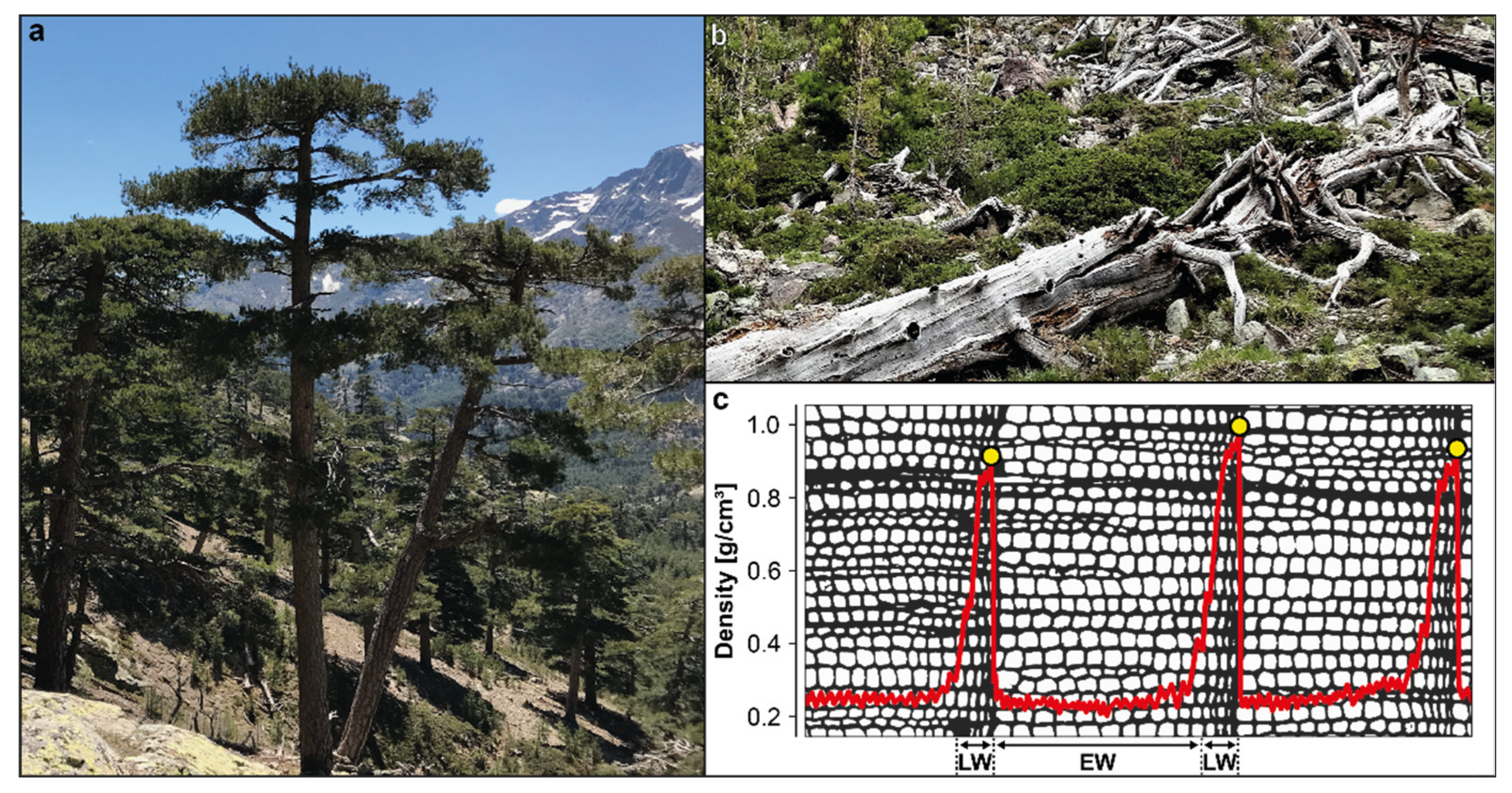 Atmosphere 12 00804 g002 550