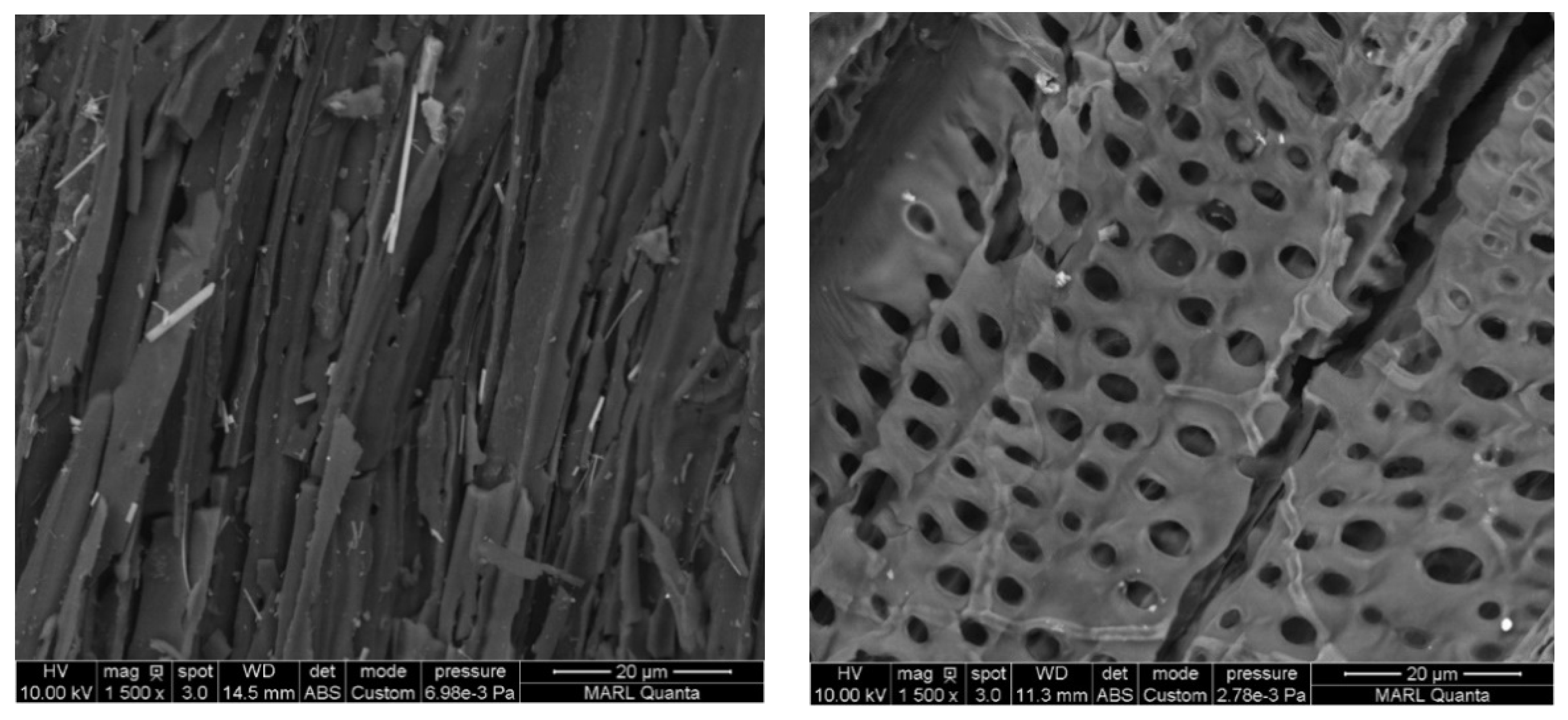 Atmosphere 12 00825 g004