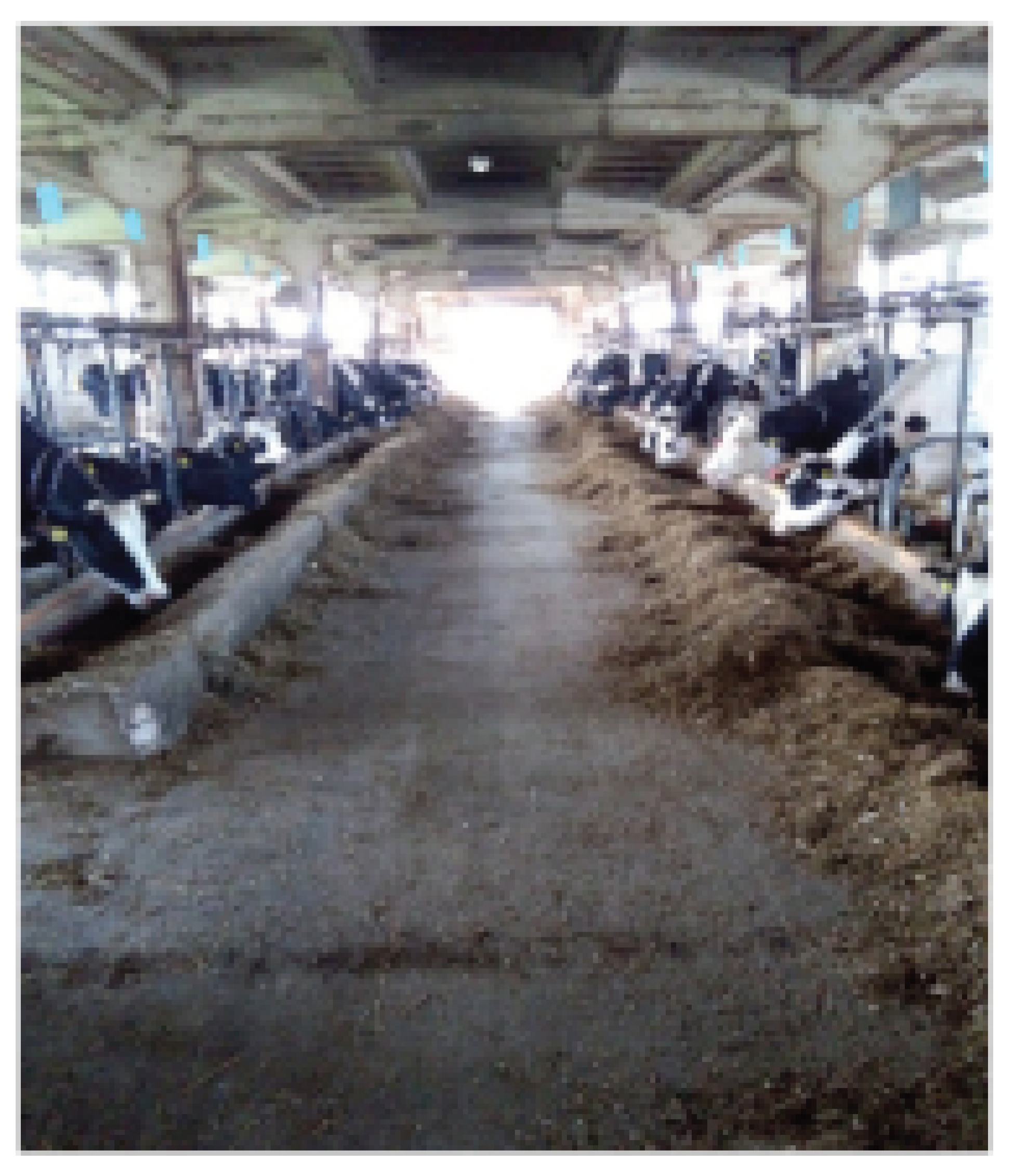 Atmosphere 12 00934 i004