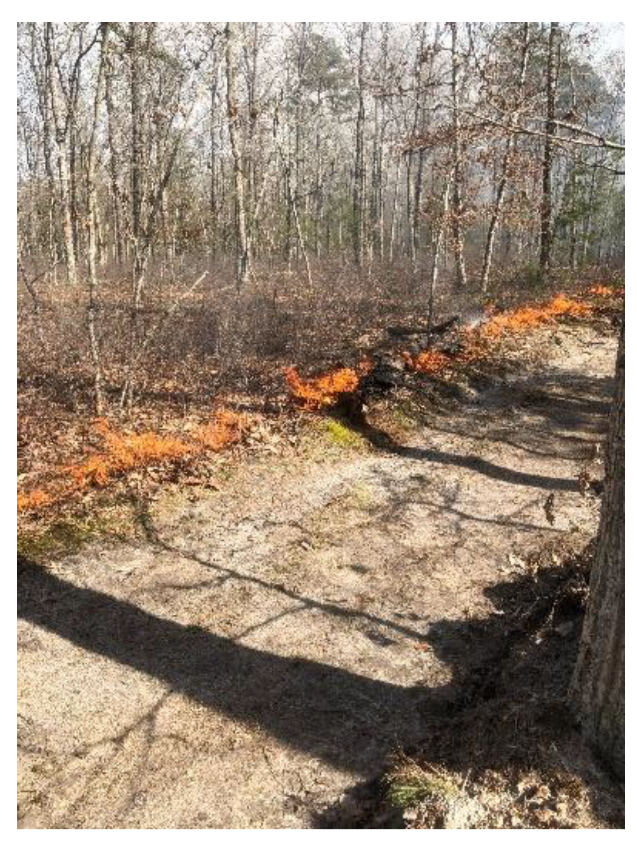 Atmosphere 12 00956 g003