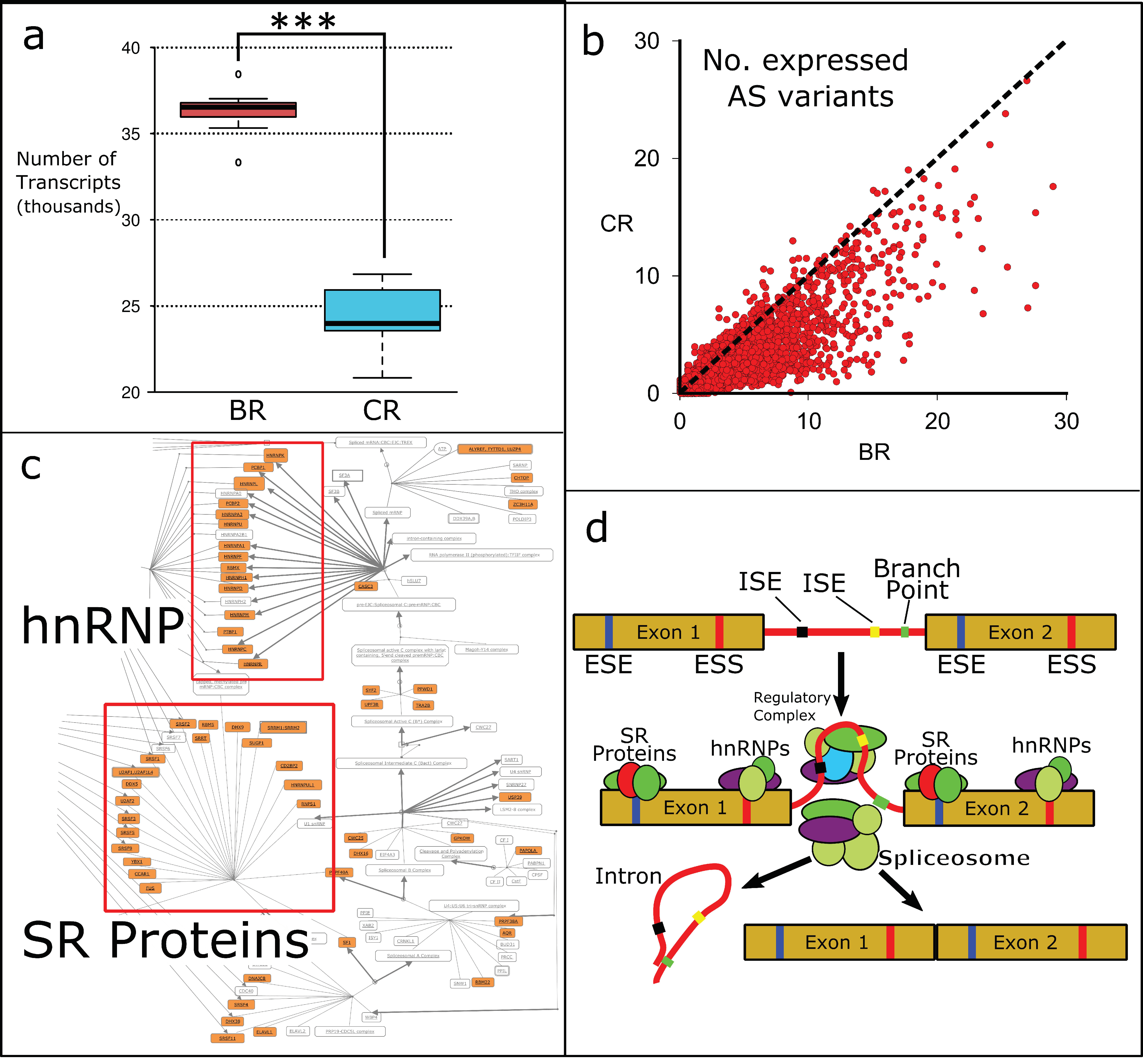 Atmosphere 12 00959 g003 Atmosphere 12 00959 g003
