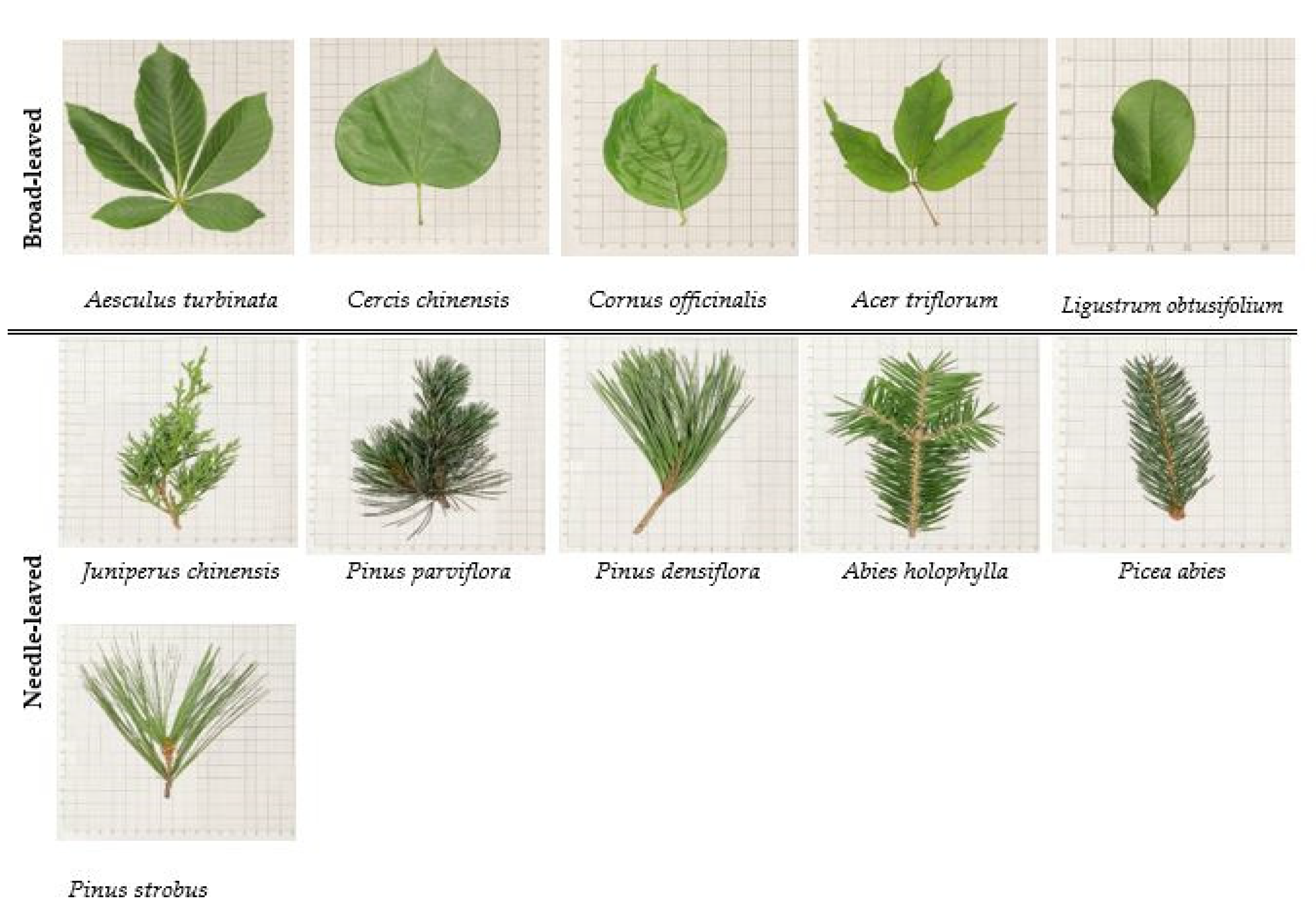 Atmosphere 12 01067 g001 550