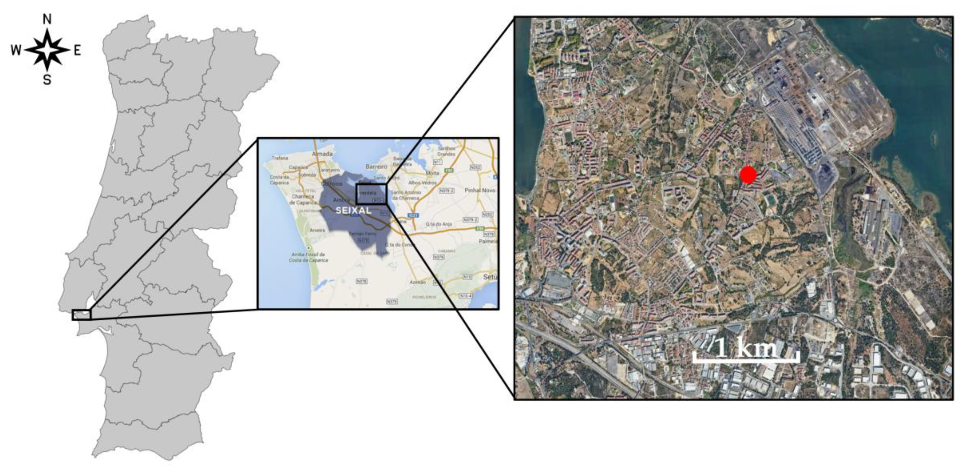 Atmosphere 12 01097 g001 550