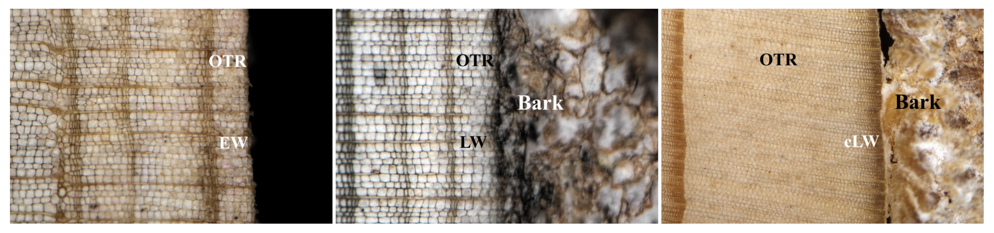 Atmosphere 12 01135 g004