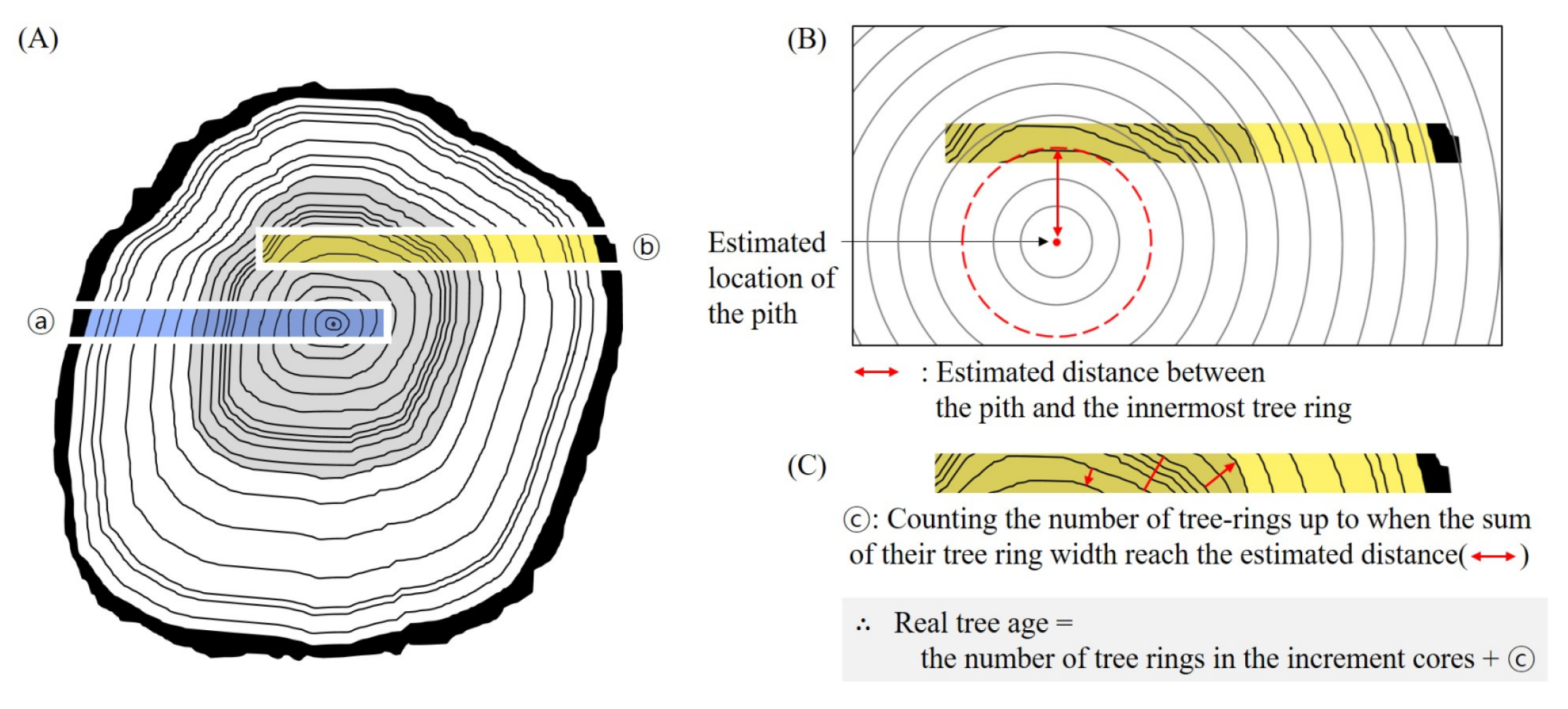 Atmosphere 12 01135 g005
