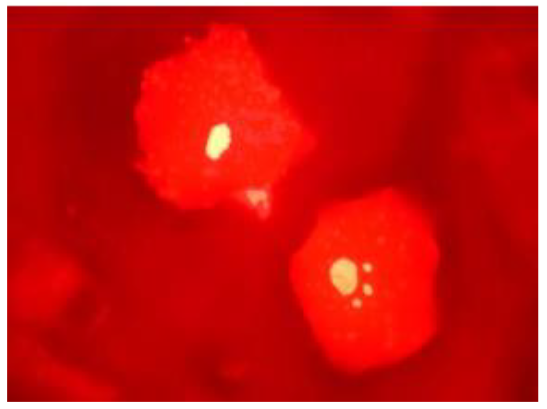 Atmosphere 12 01191 g002 Atmosphere 12 01191 g002