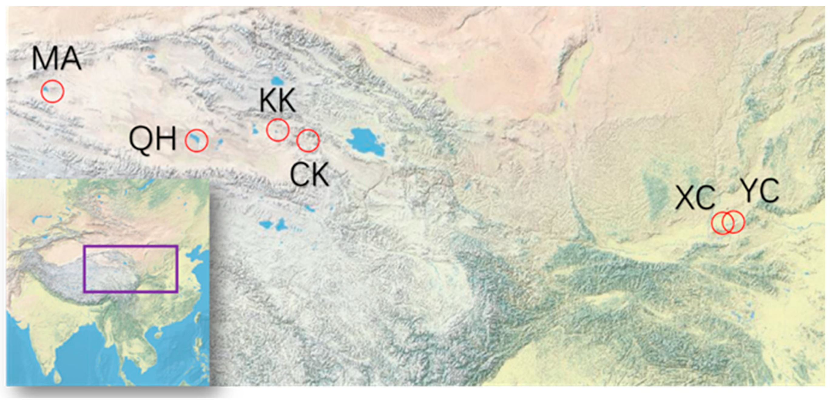 Atmosphere 12 01203 g001 Atmosphere 12 01203 g001