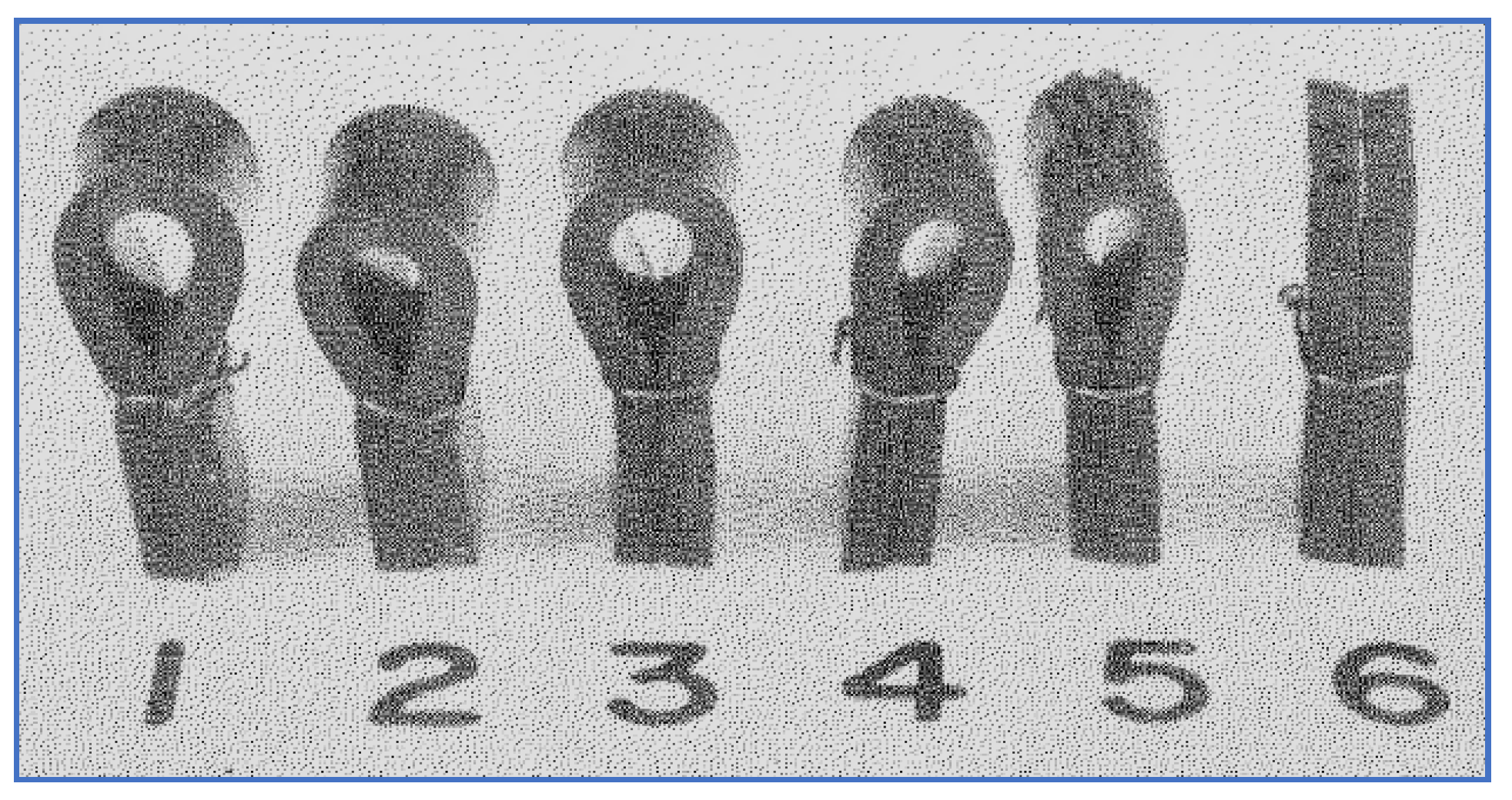 Atmosphere 12 01354 g004