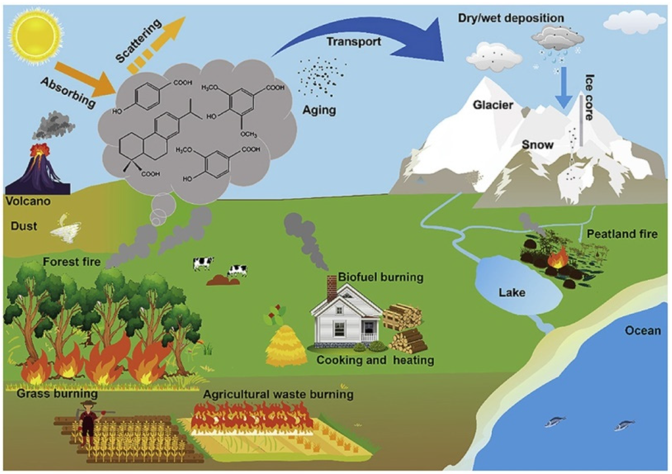 Atmosphere | Free Full-Text | Tracers from Biomass Burning Emissions and  Identification of Biomass Burning