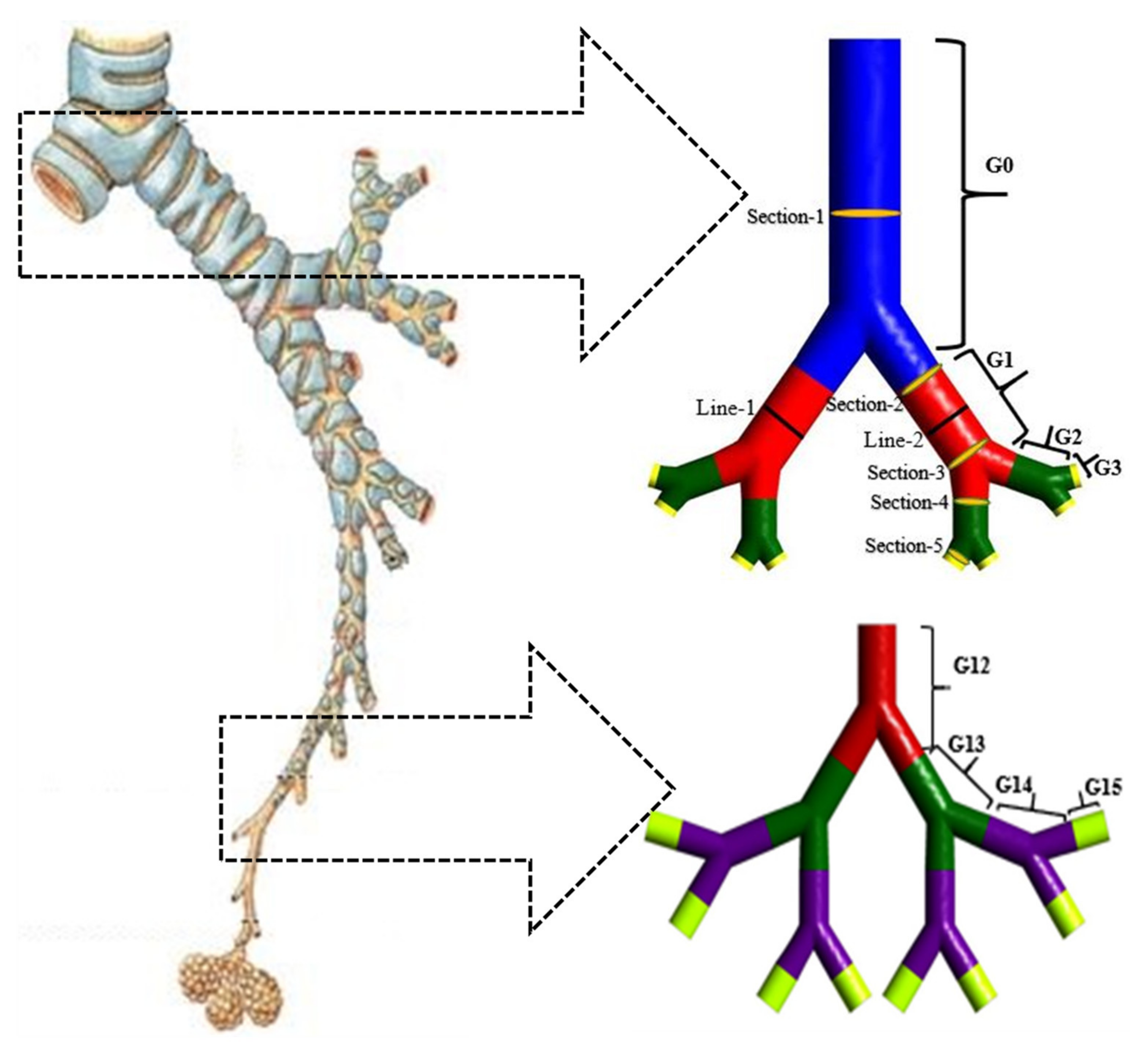 Atmosphere 12 01402 g001 Atmosphere 12 01402 g001