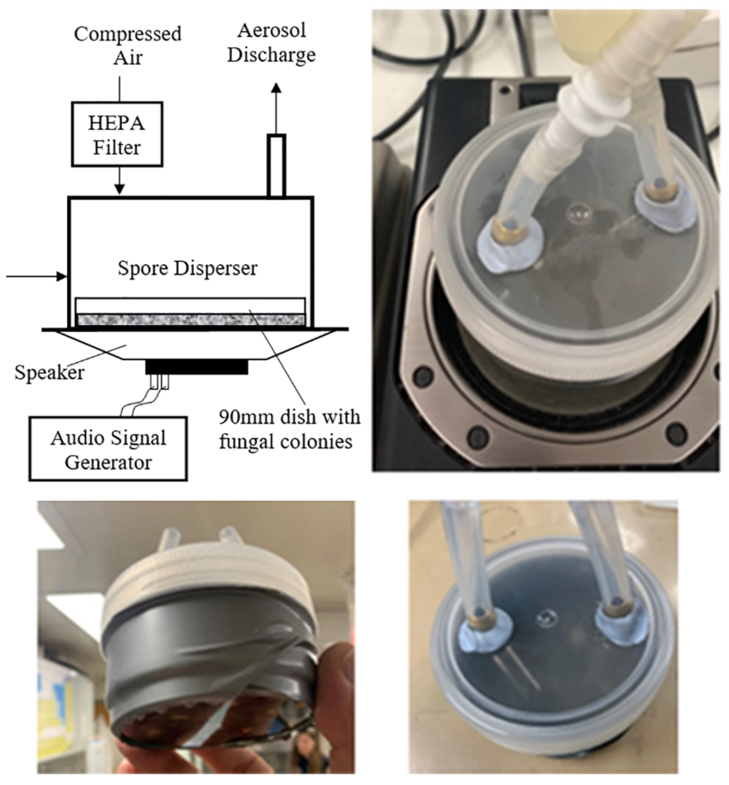 Atmosphere 12 01418 g004 550