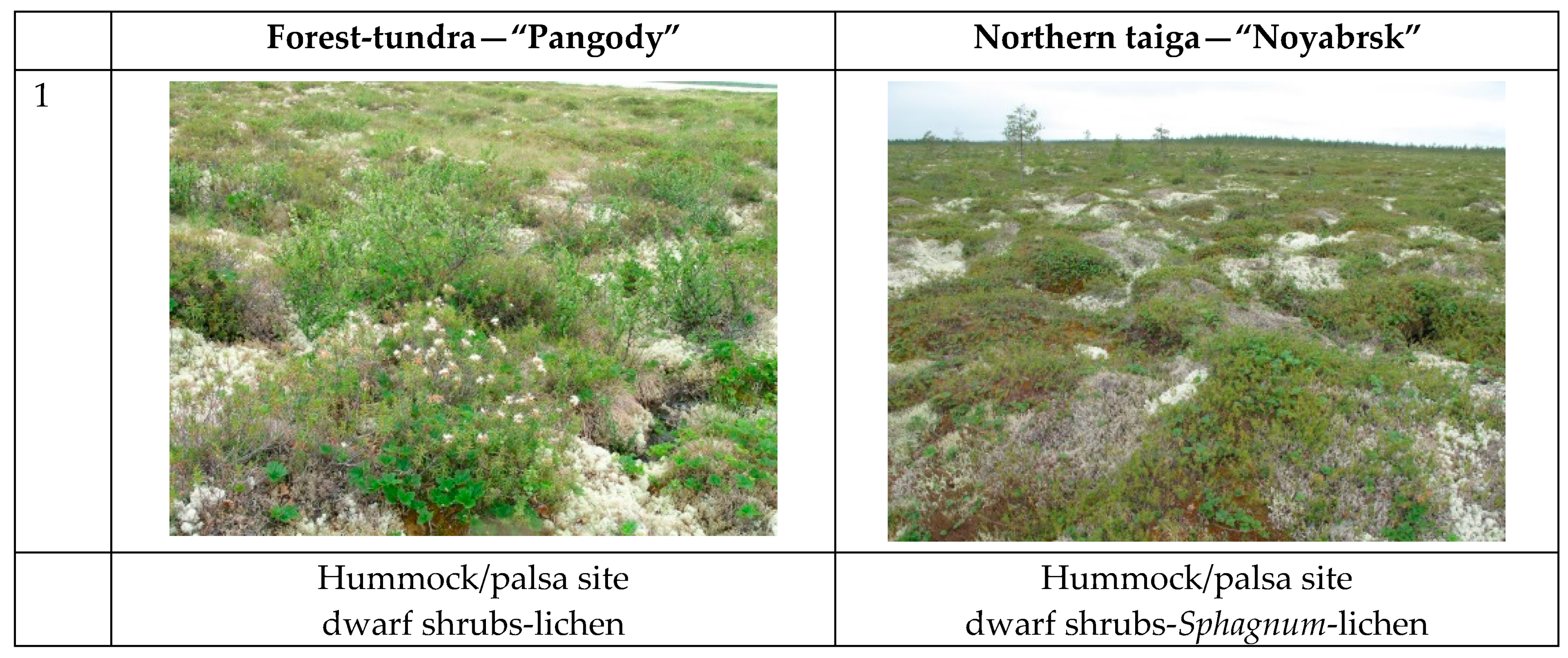 Atmosphere 12 01612 g001a