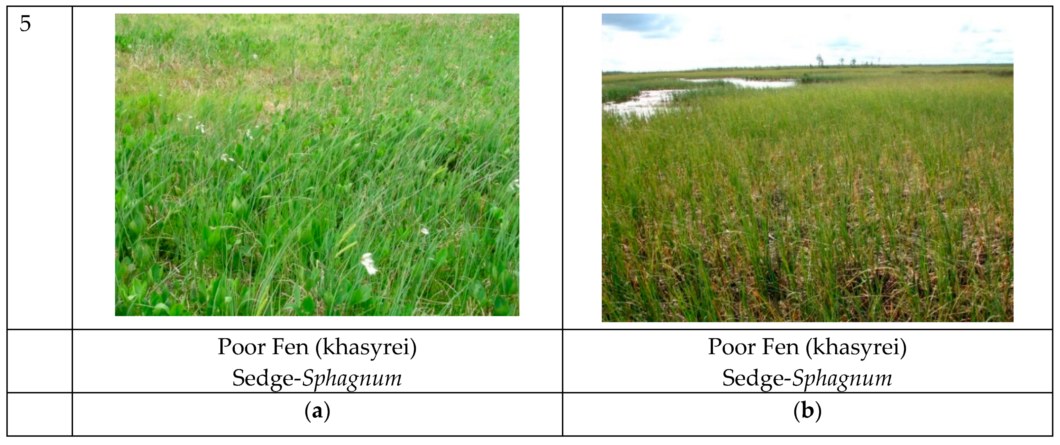 Atmosphere 12 01612 g001c