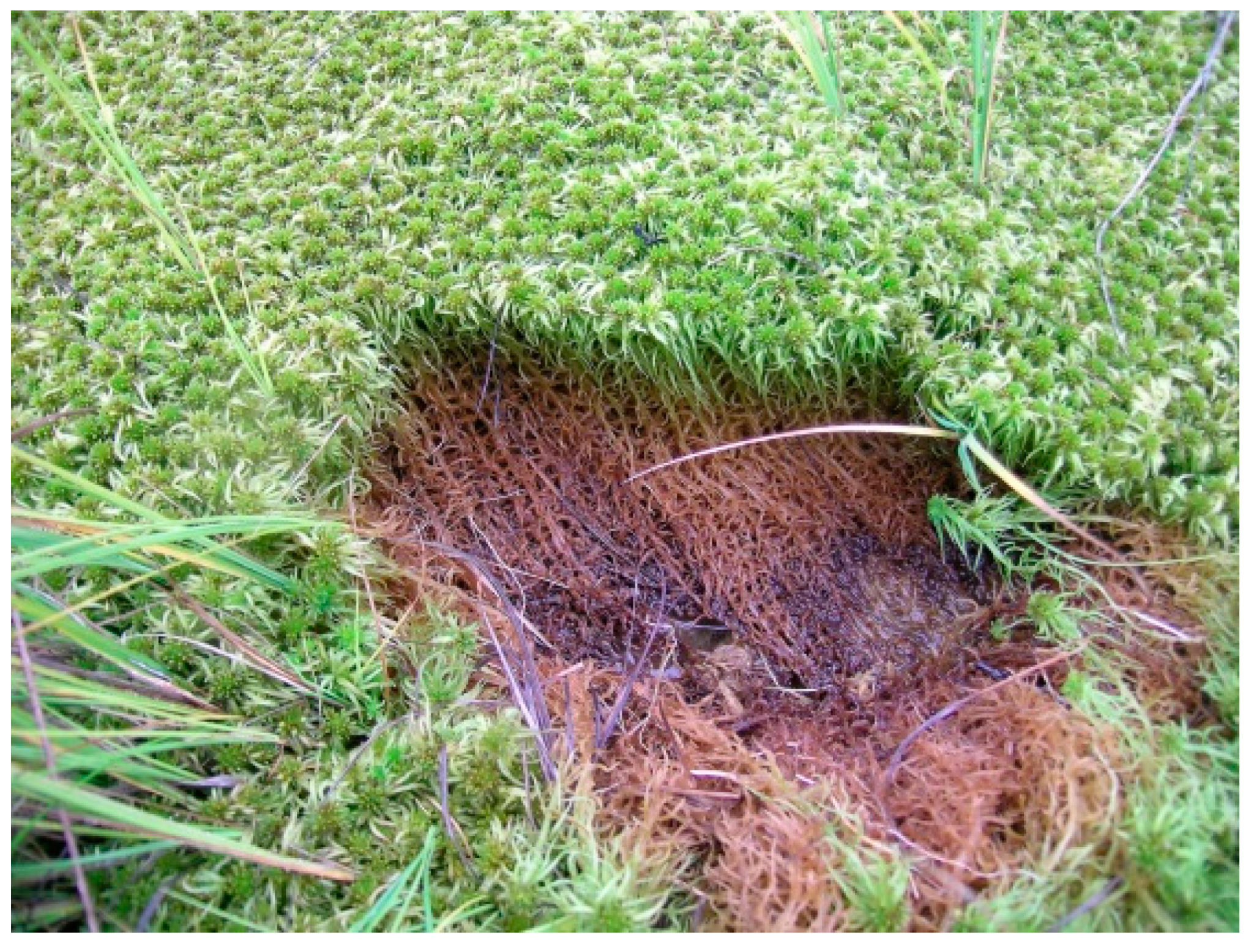 Atmosphere 12 01612 g002