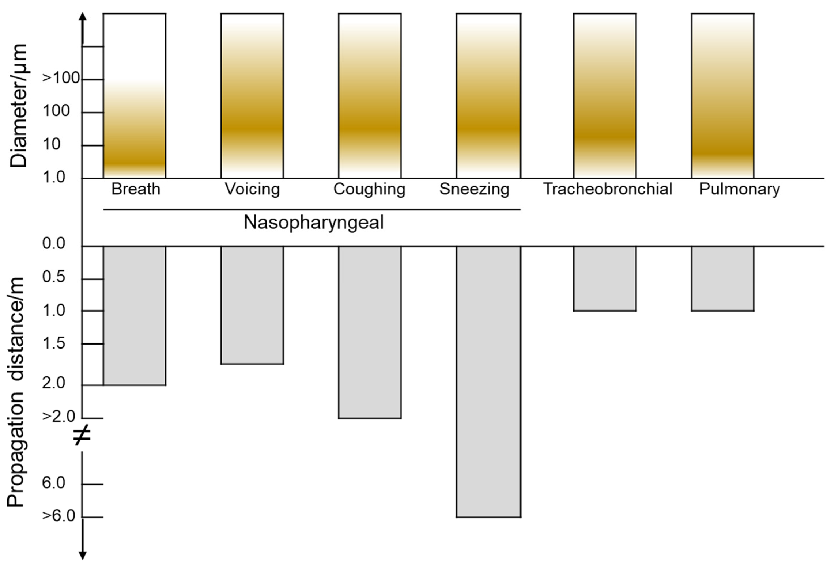 Transmission of SARS-CoV-2 Indoor and Outdoor Environments