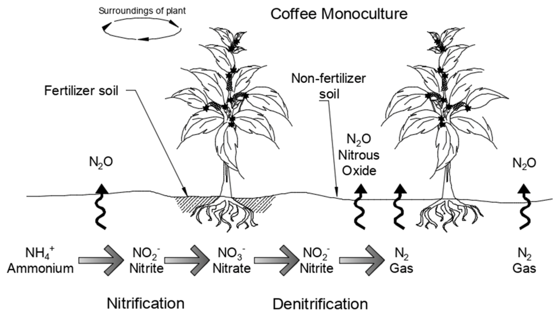 Atmosphere 12 01656 g001