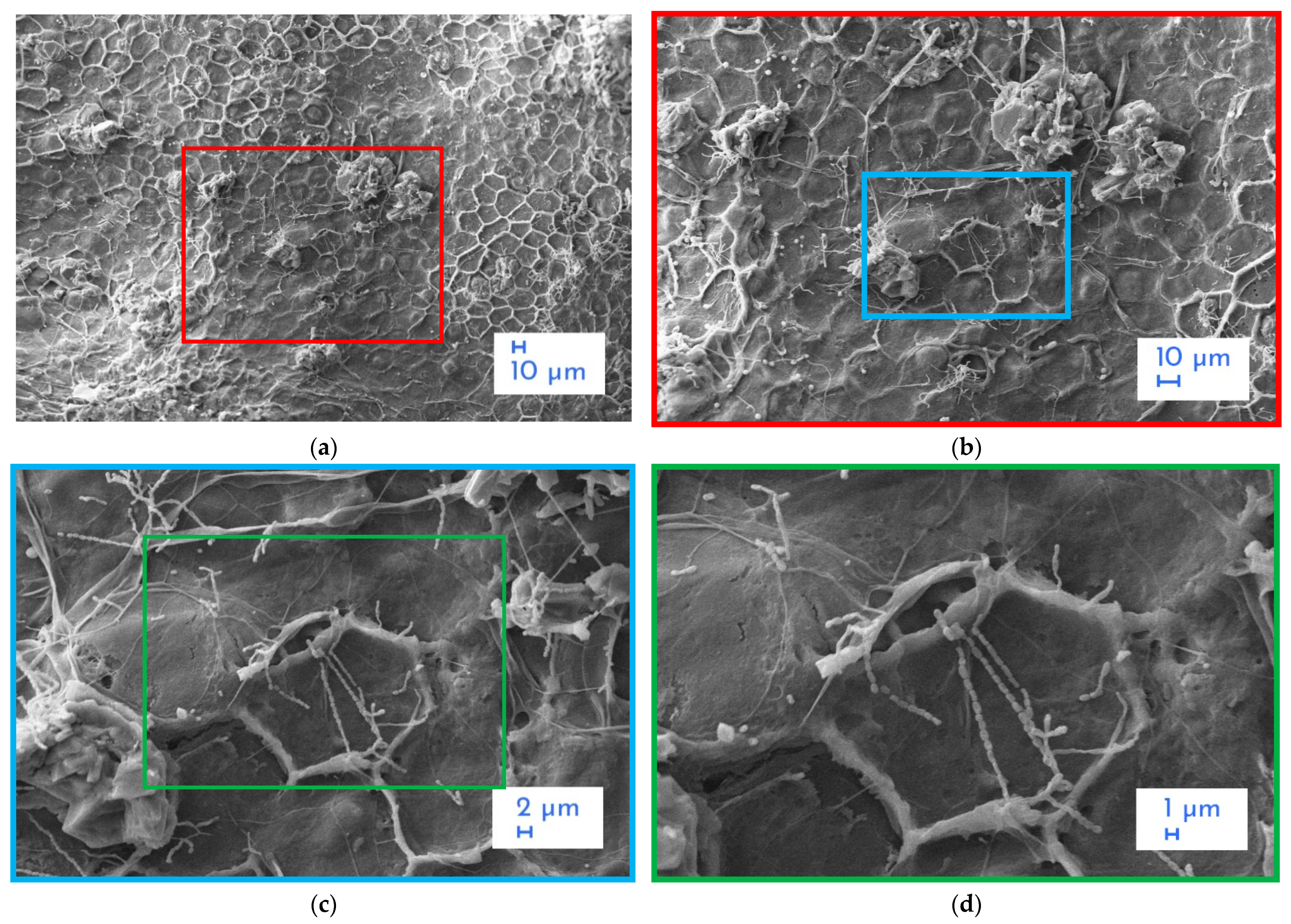Atmosphere 13 00002 g003