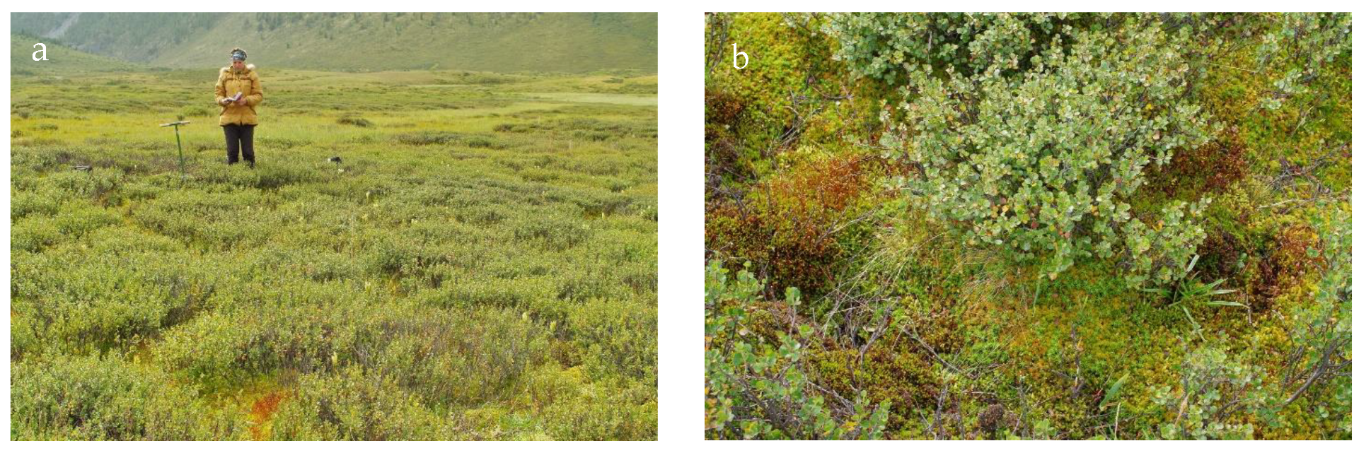 Atmosphere 13 00032 g012a