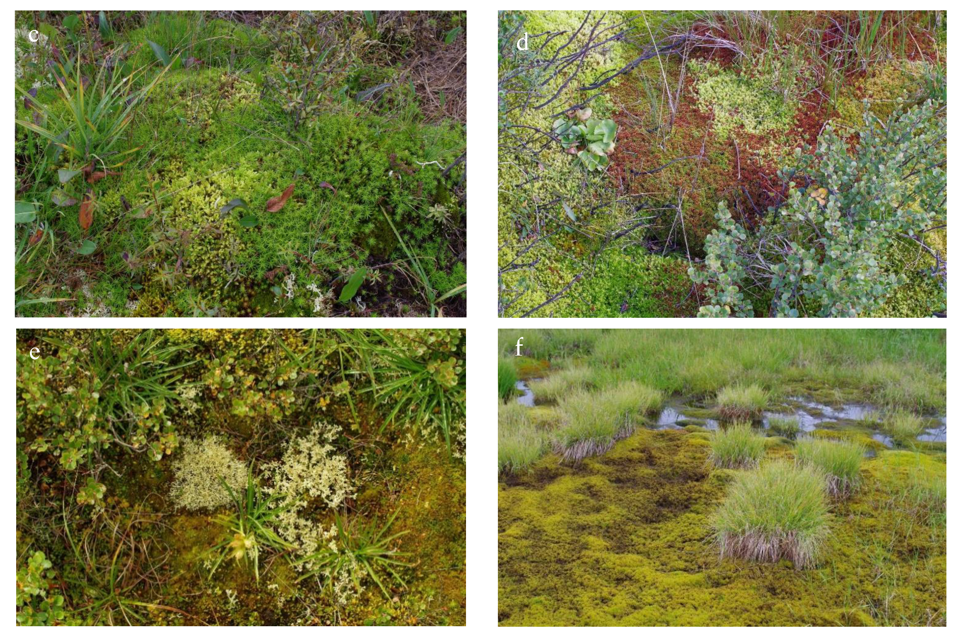 Atmosphere 13 00032 g012b