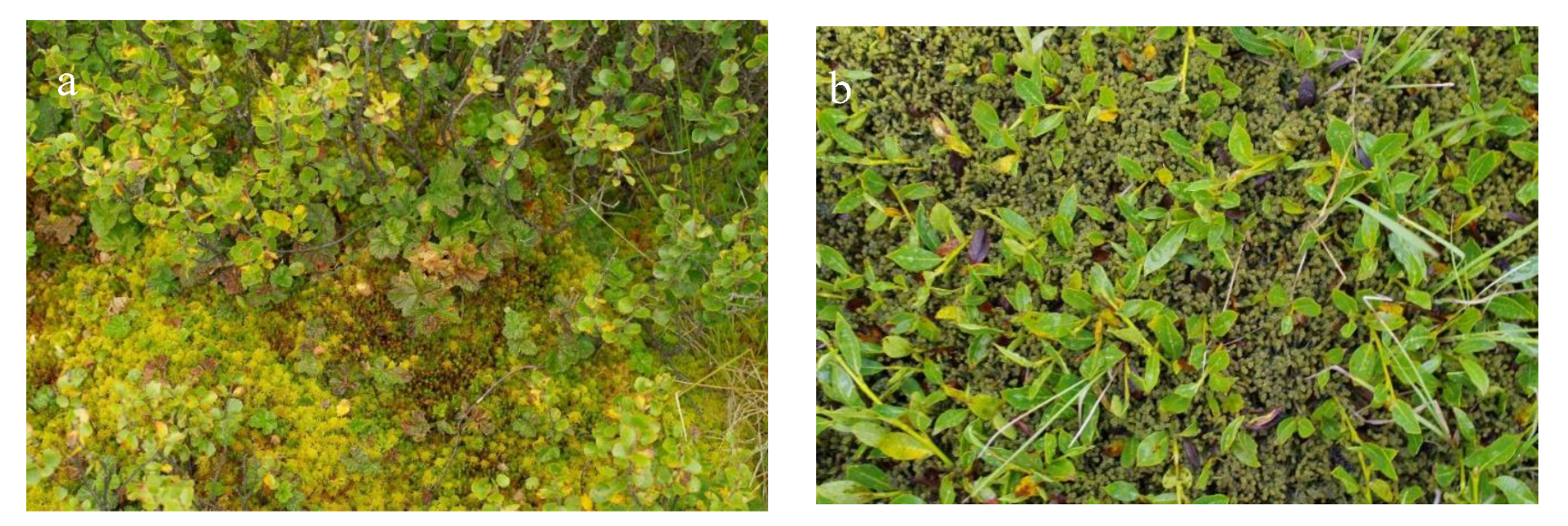 Atmosphere 13 00032 g013a