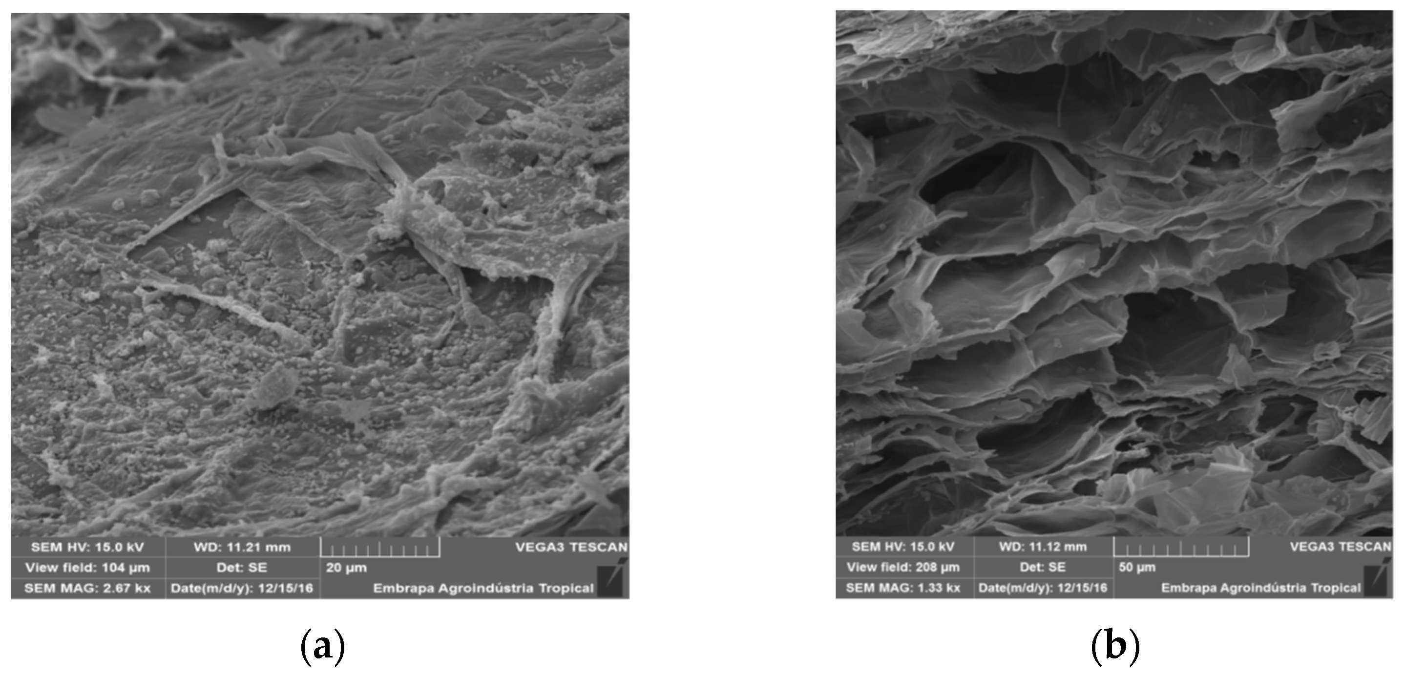 Atmosphere 13 00051 g002a 550